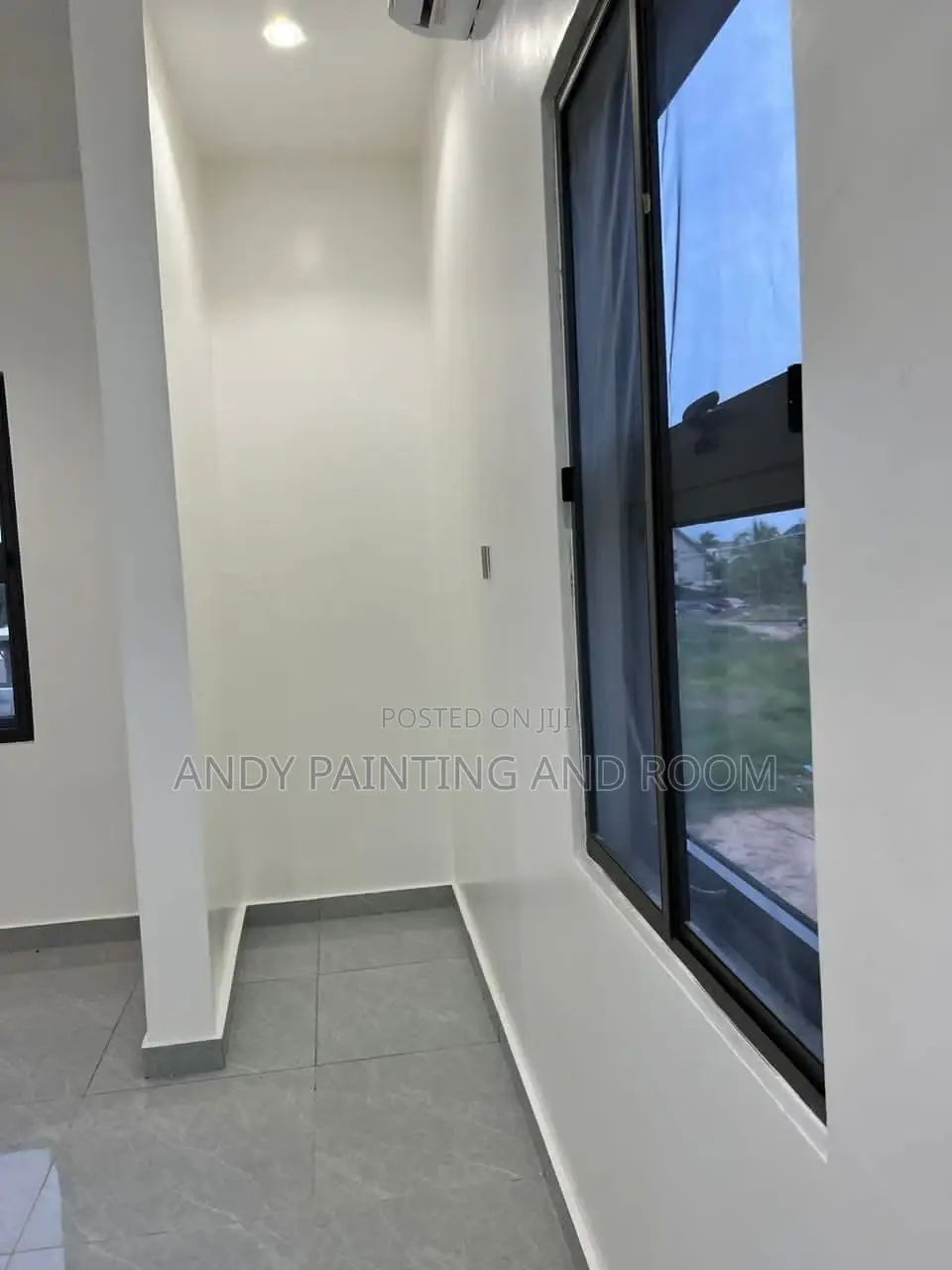 Professional Painter
