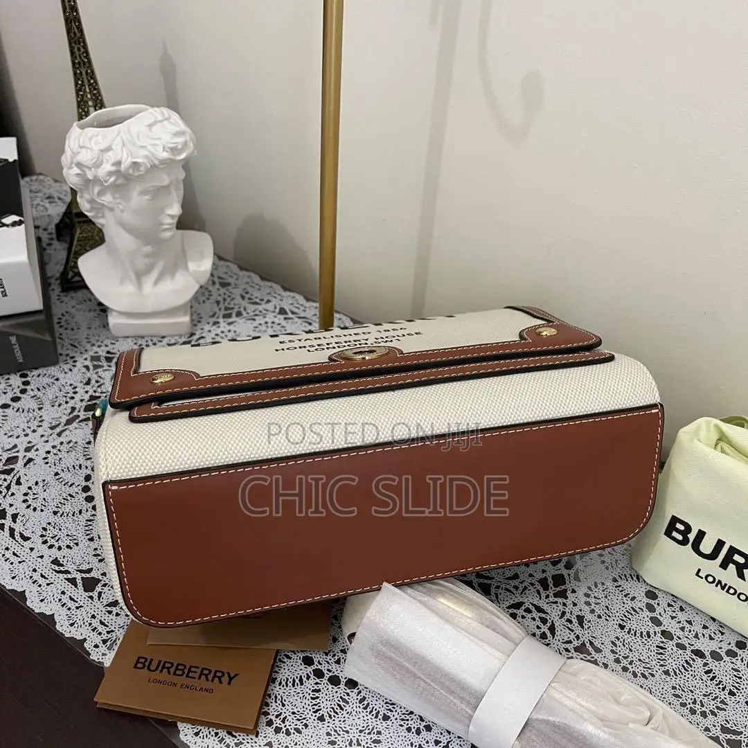 Newest Burberry Bag