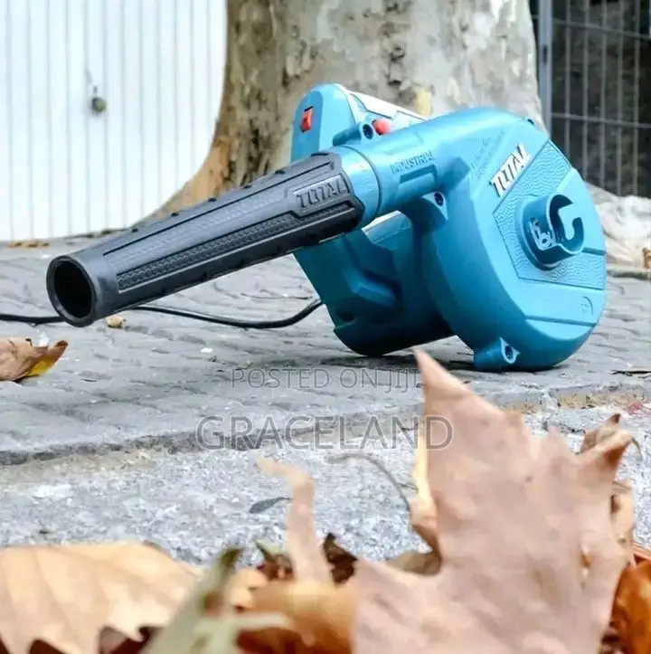 This Is Original Total Blower 800w Corded Powerful Machine