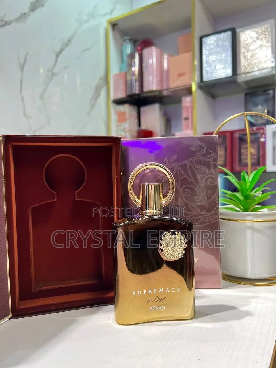Afnan Supremacy in Oud Perfume
