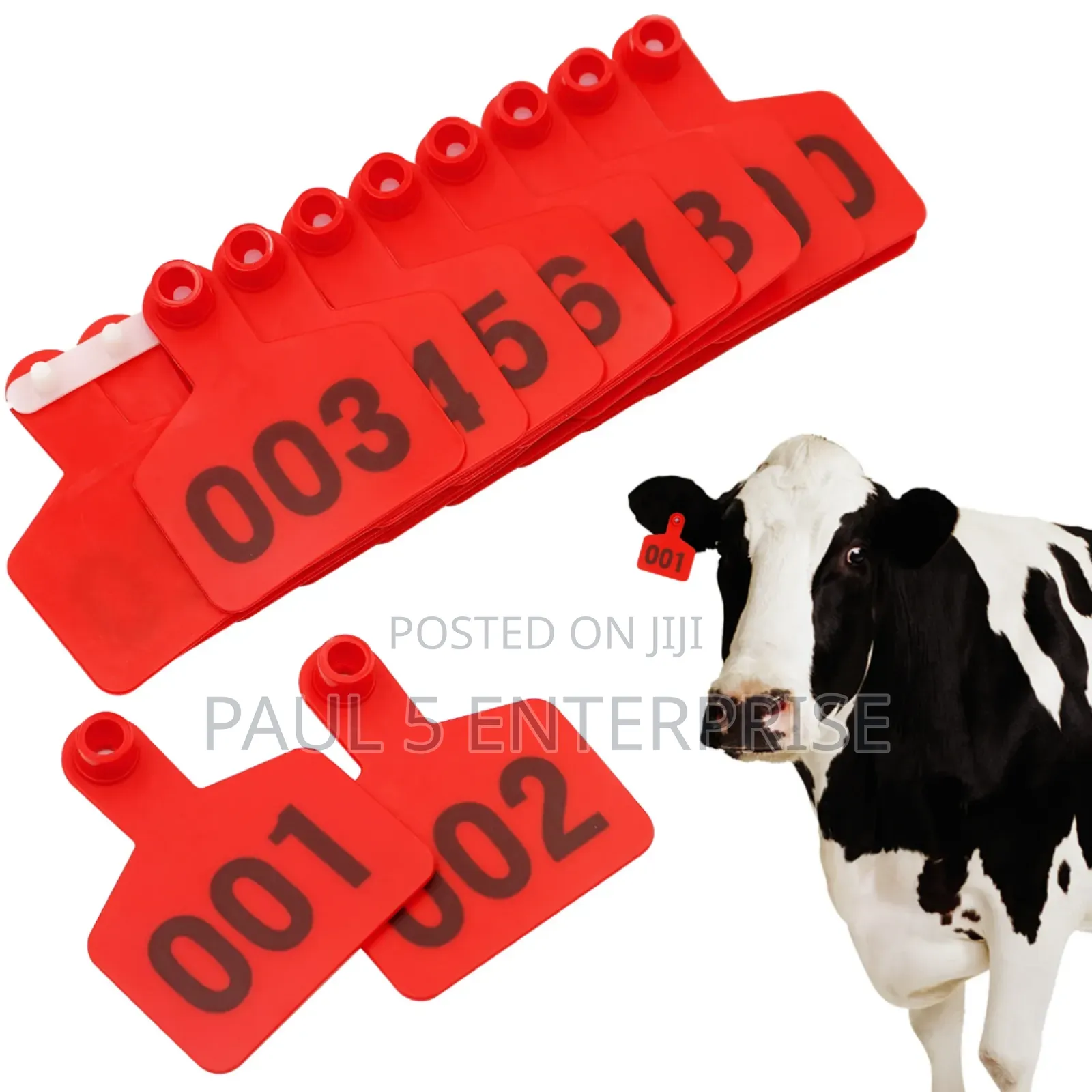 Cow Ear Tag Wholesale Retail