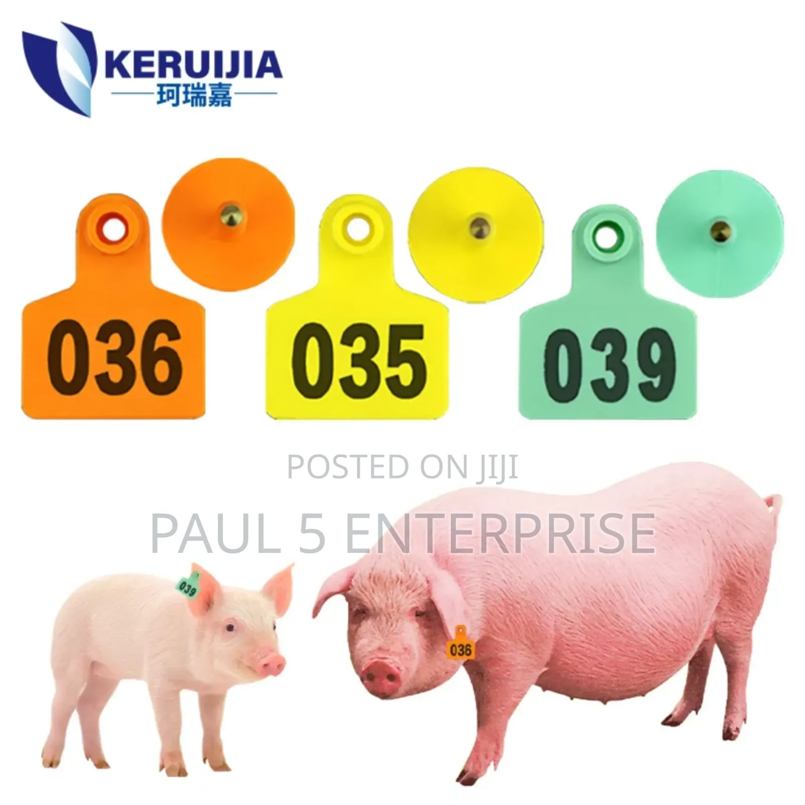 100pics Pig Ear Tags for Identification