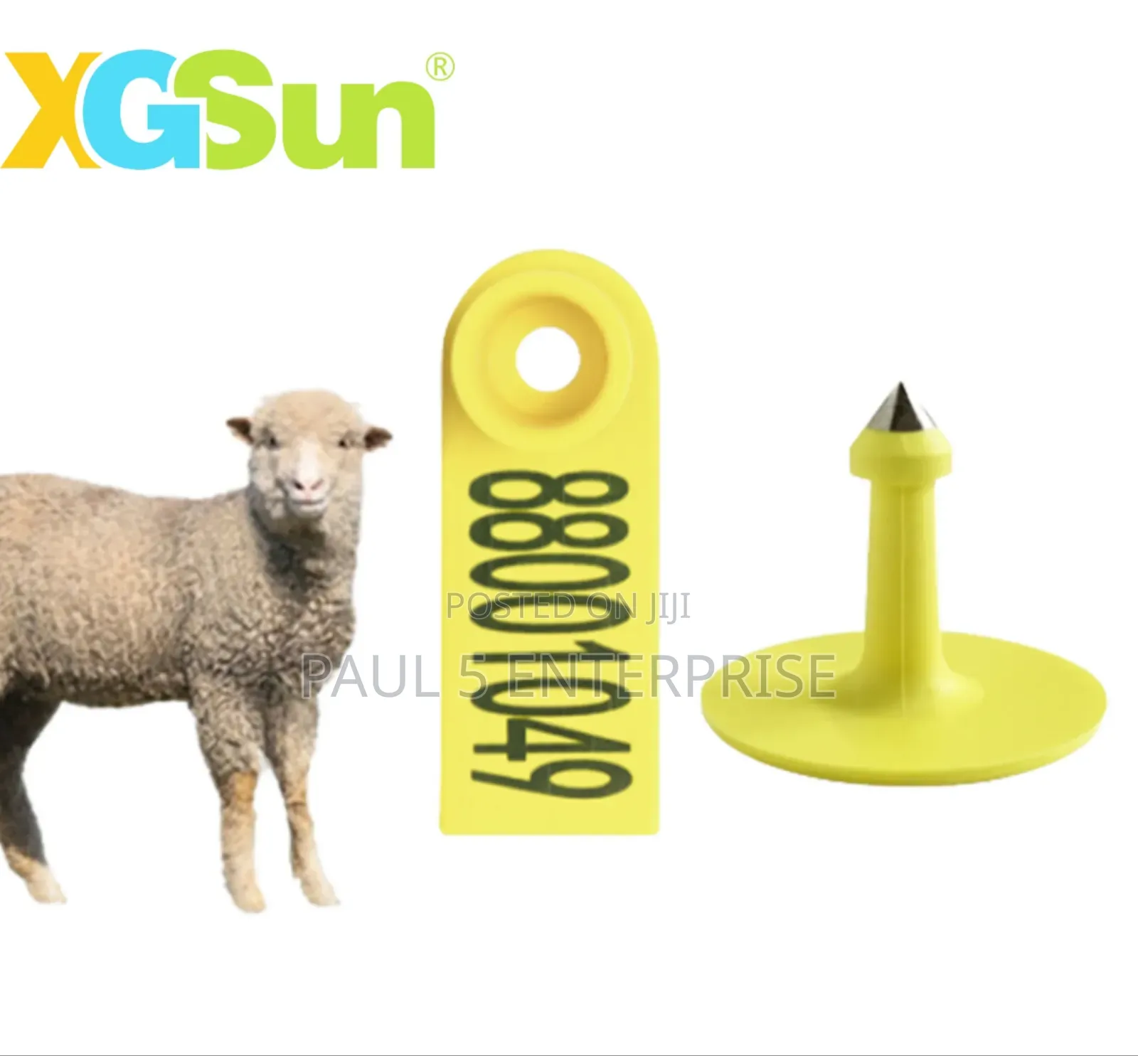 Goat Ear Tags Wholesale and Retail