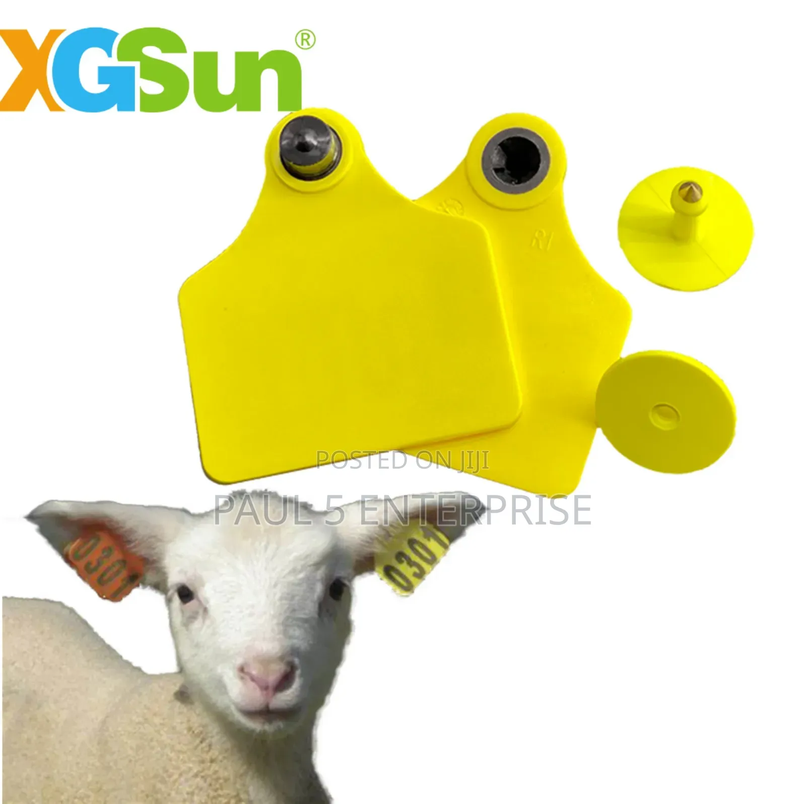 Goat Ear Tags Wholesale and Retail