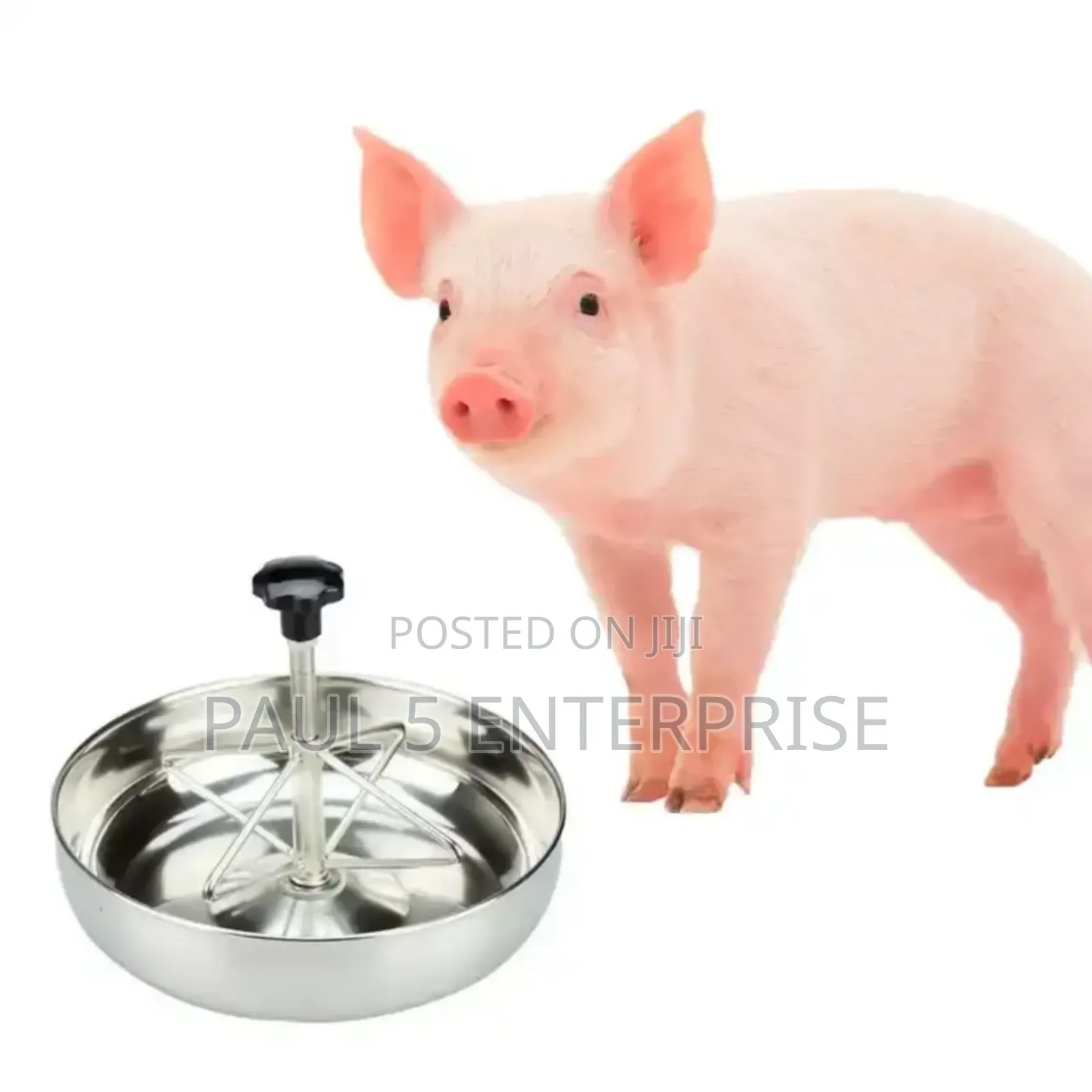 36m Piglet Feeding Bowl