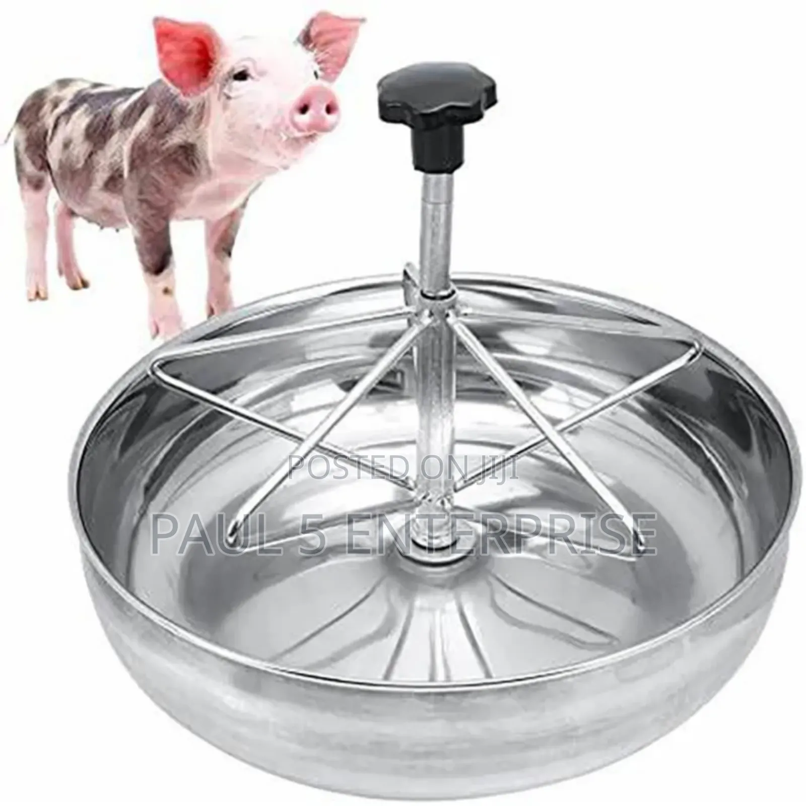 28cm Piglet Feeding Bowl