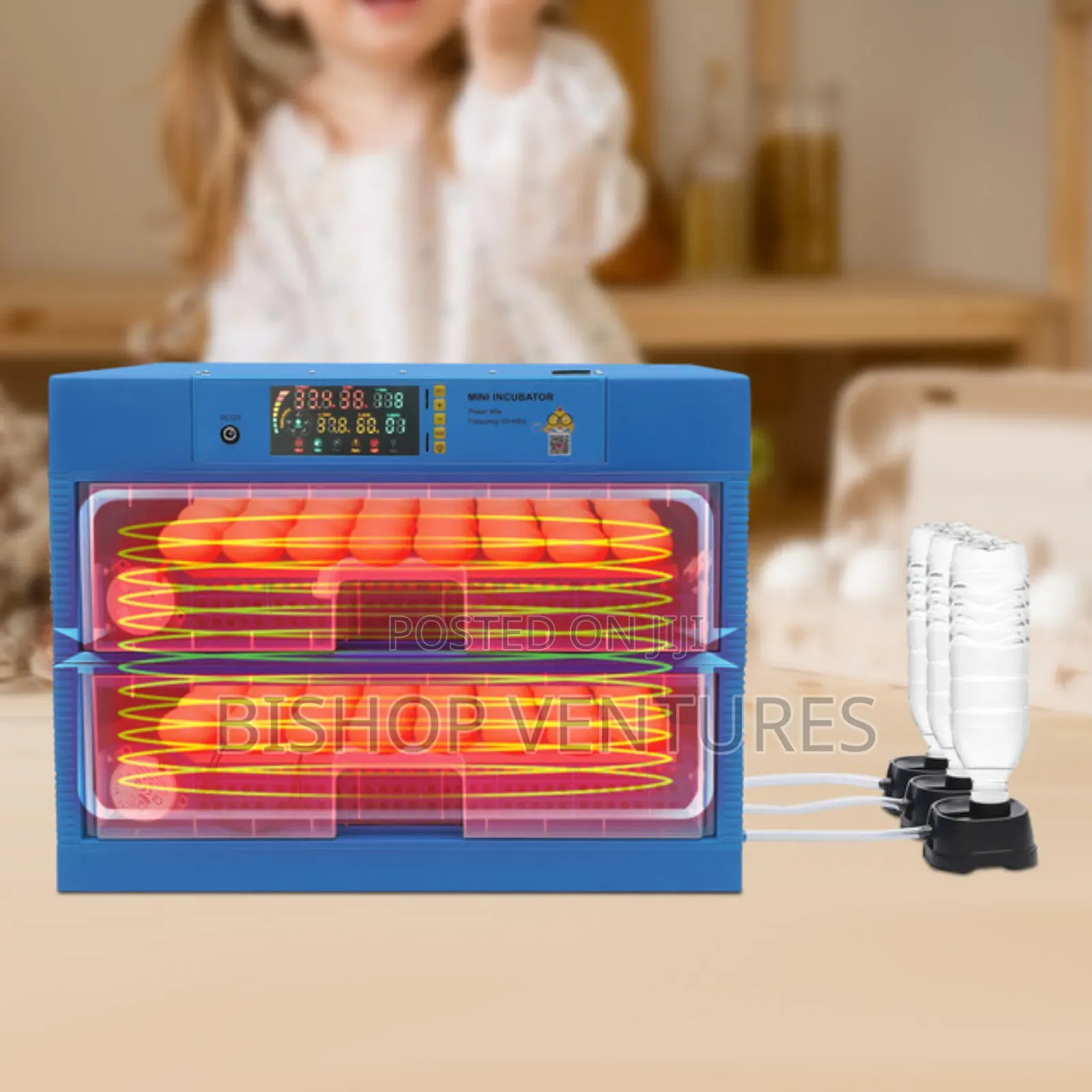 400 - 420 Eggs Capacity Incubator