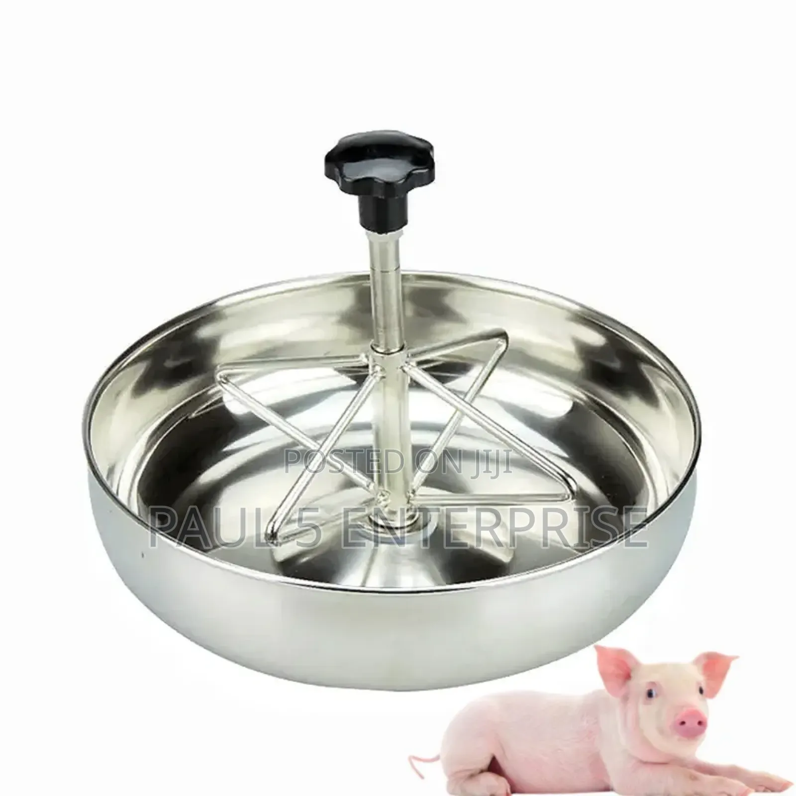 25cm Piglet Feeding Bowl
