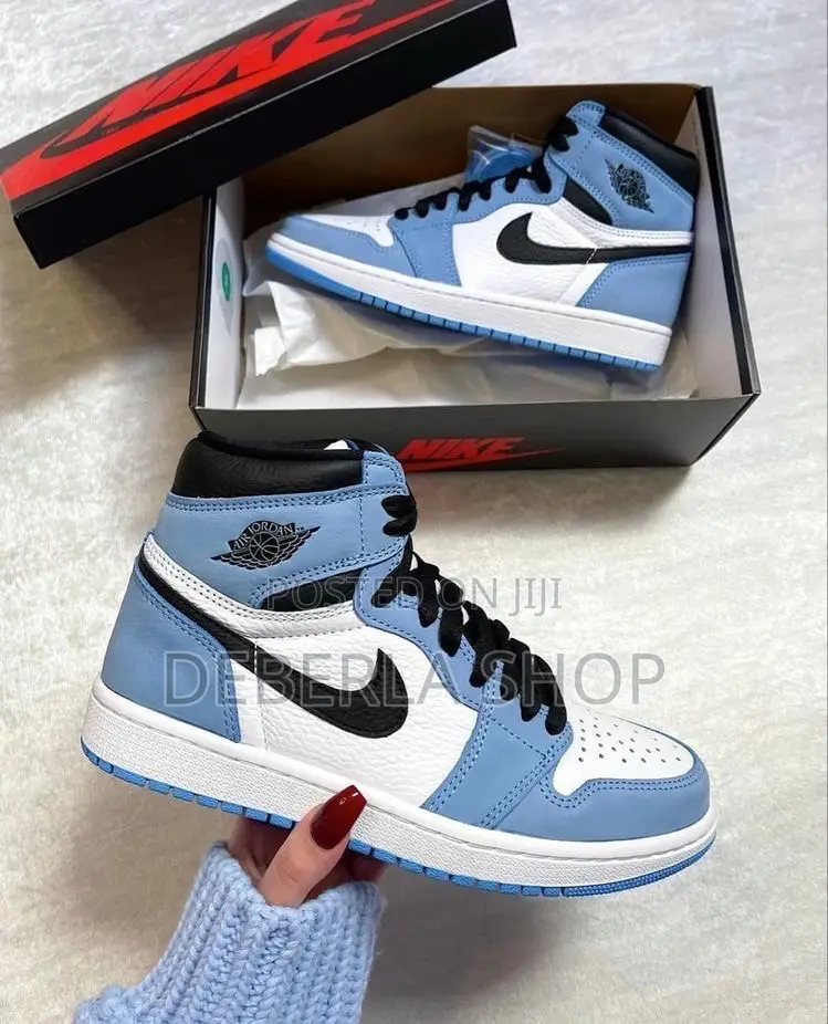 Jordan 1 High Dunk Retro