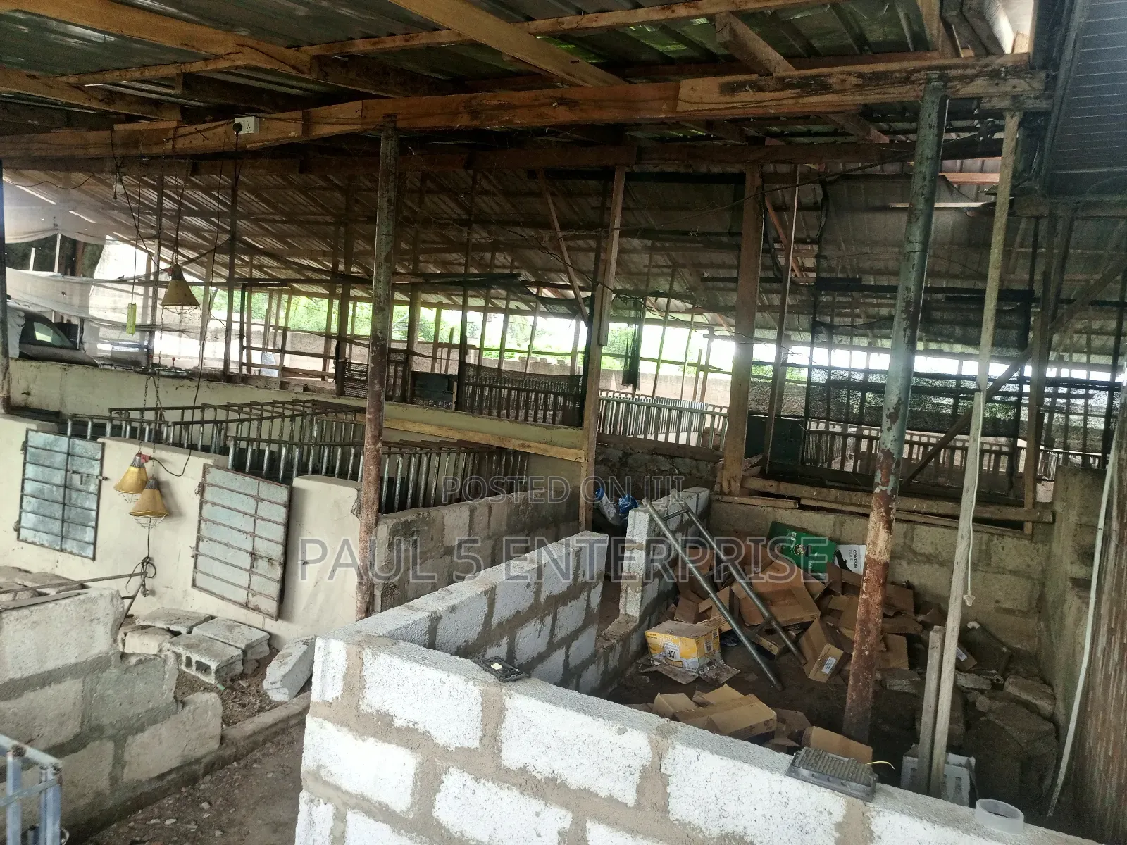 Poultry or Pig Farm for Sale at Kasoa Ofaakor Gada