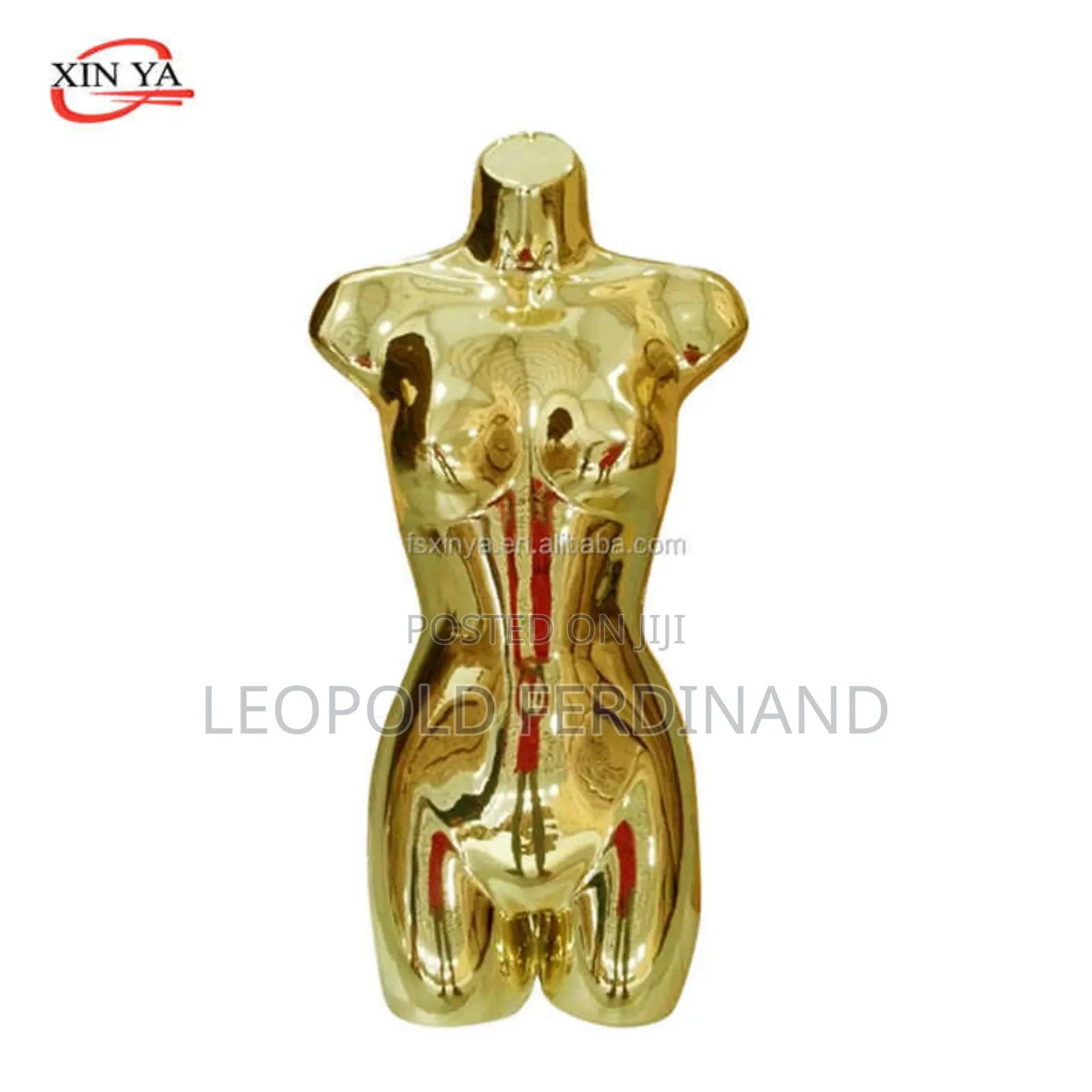 Lady Half Golden Mannequin