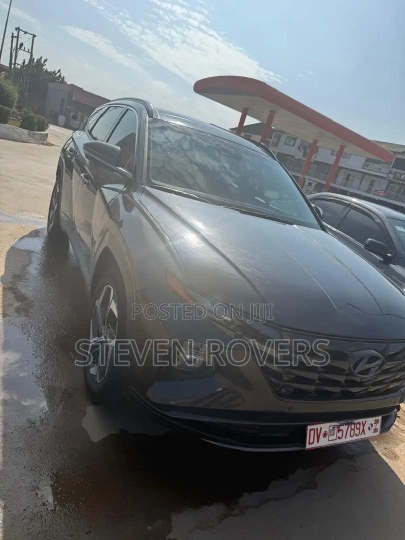 Hyundai Tucson Limited 2023 Gray