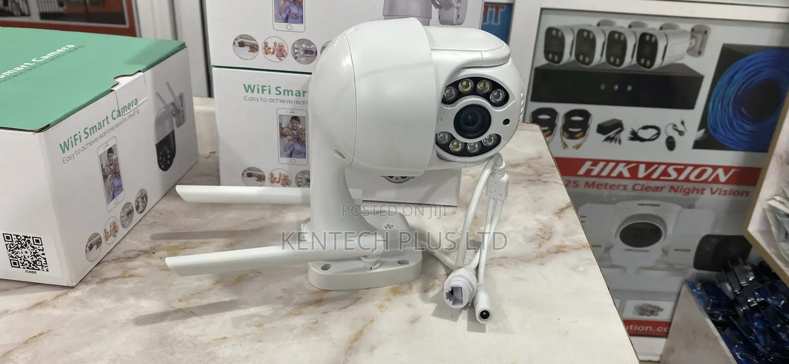 Smart Wireless PTZ Camera