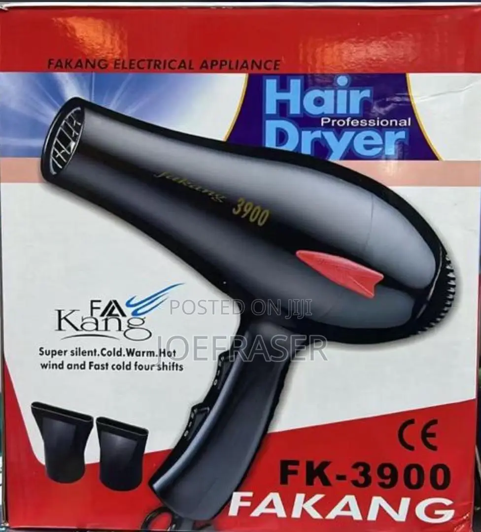 Professional Hair Dryer