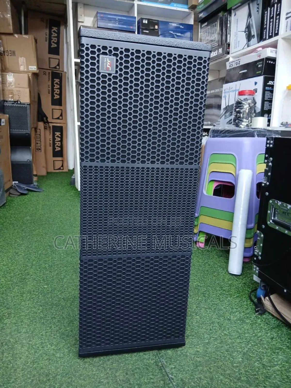 12 Inches Black Jac Line Array Speaker