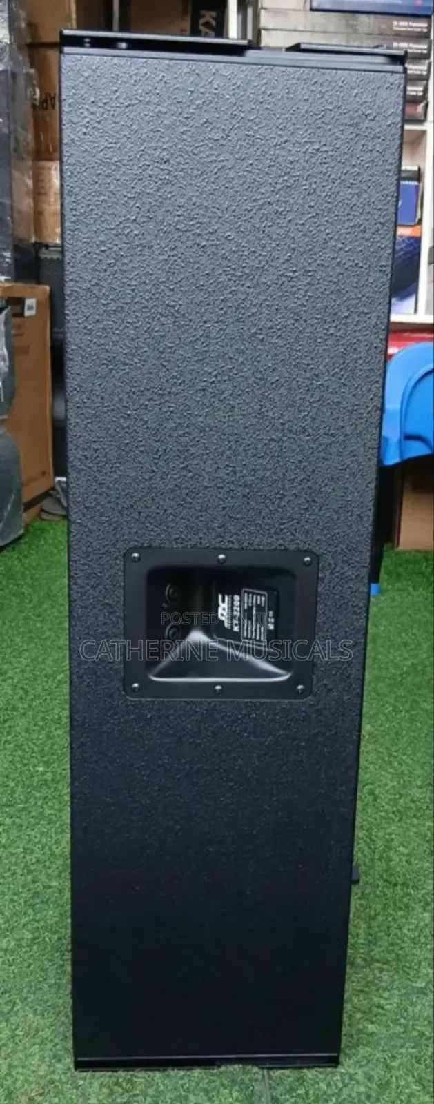 12 Inches Black Jac Line Array Speaker