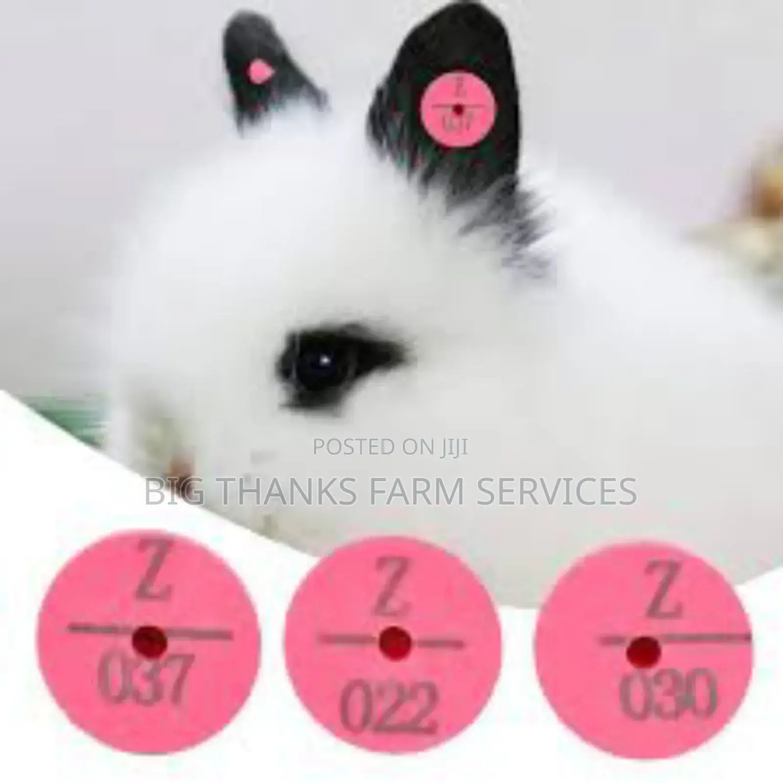 Livestock Tags