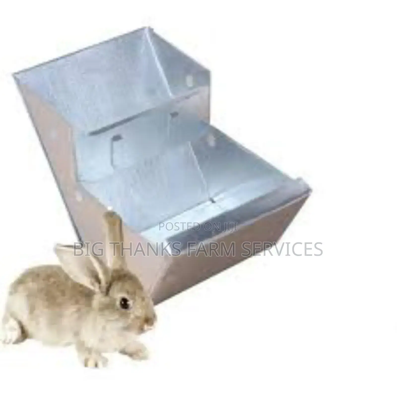 Rabbit/Grasscutter Feeders