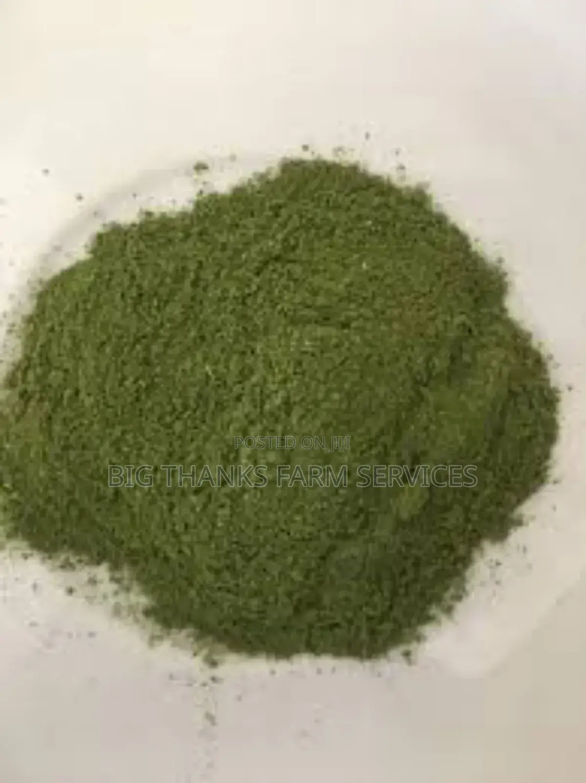 Moringa Leaf Powder,Bulk