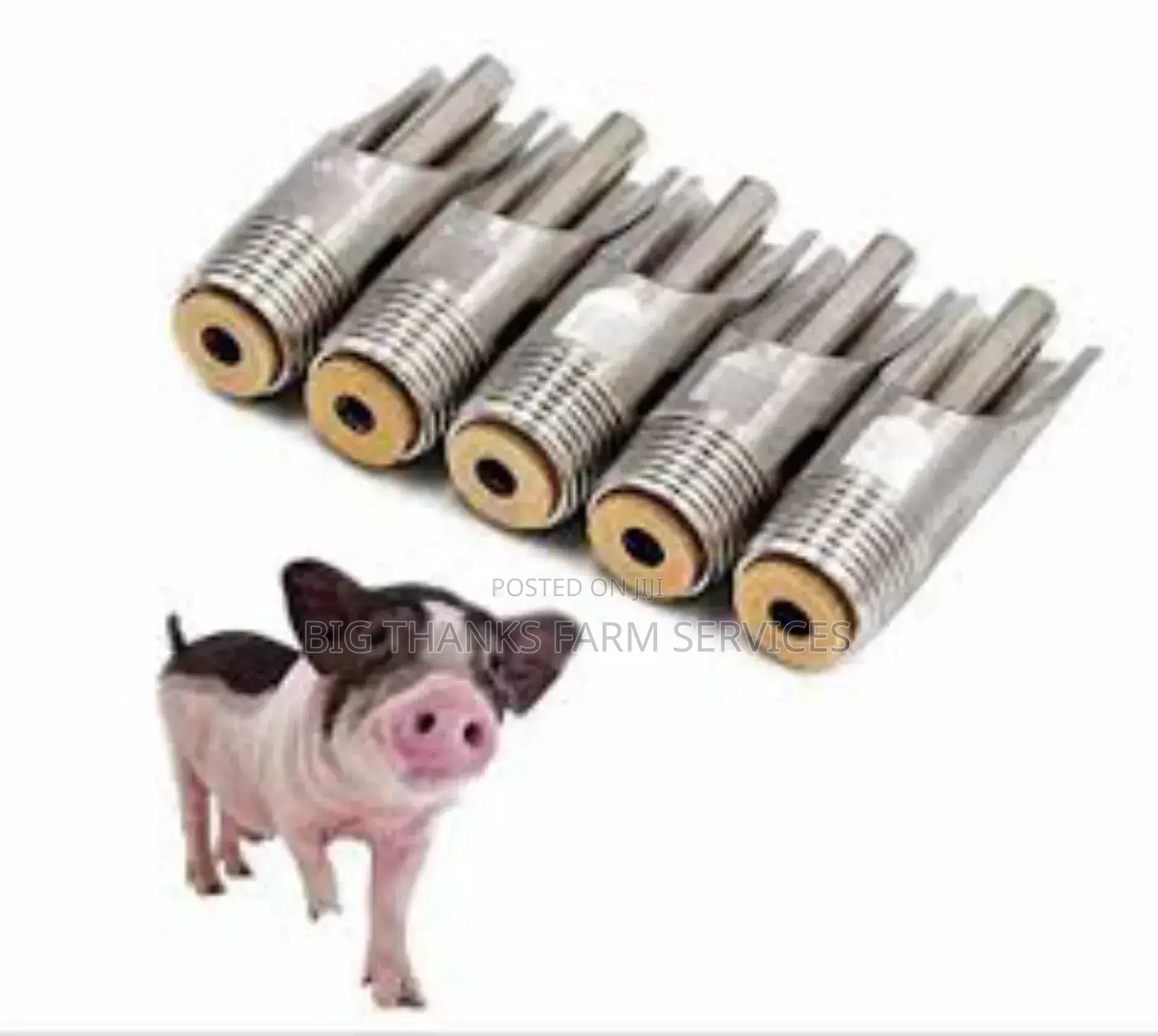 Pig Automatic Nipple Drinkers