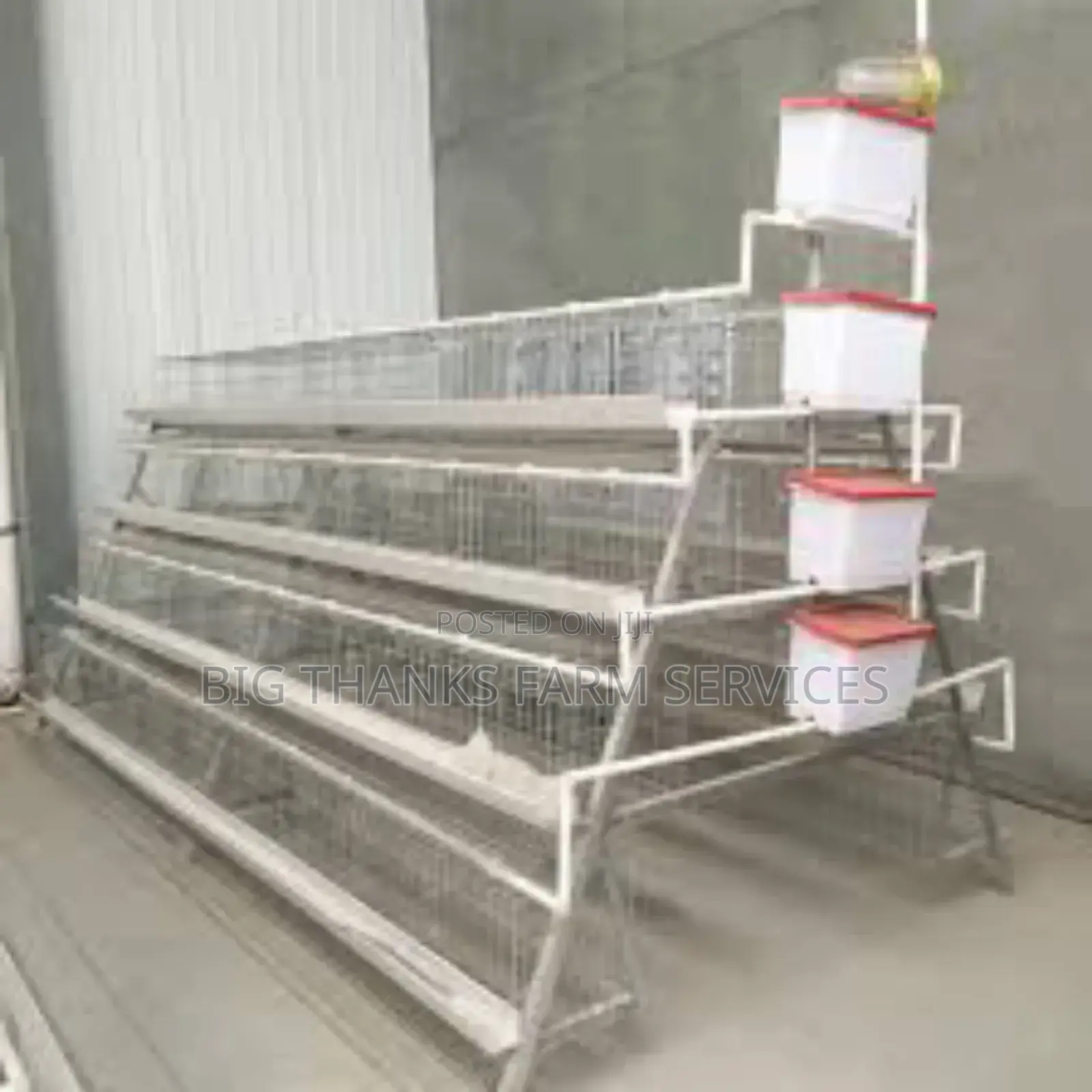Poultry Battery Cages,120 Capacity