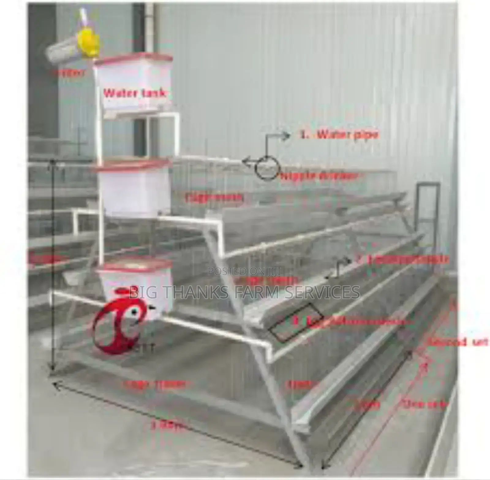 Battery Cages of 160 Capacity