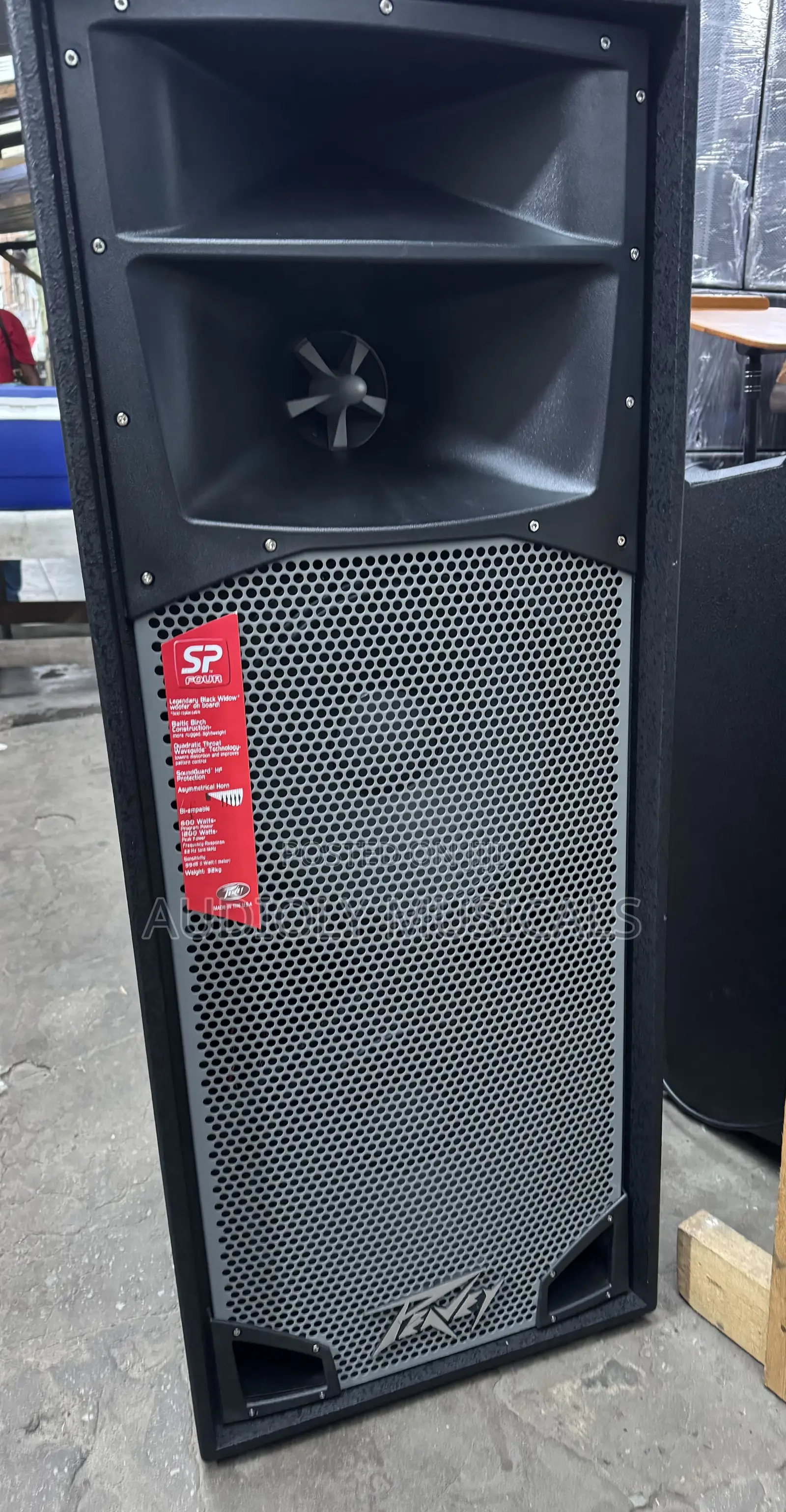 Peavey Speaker