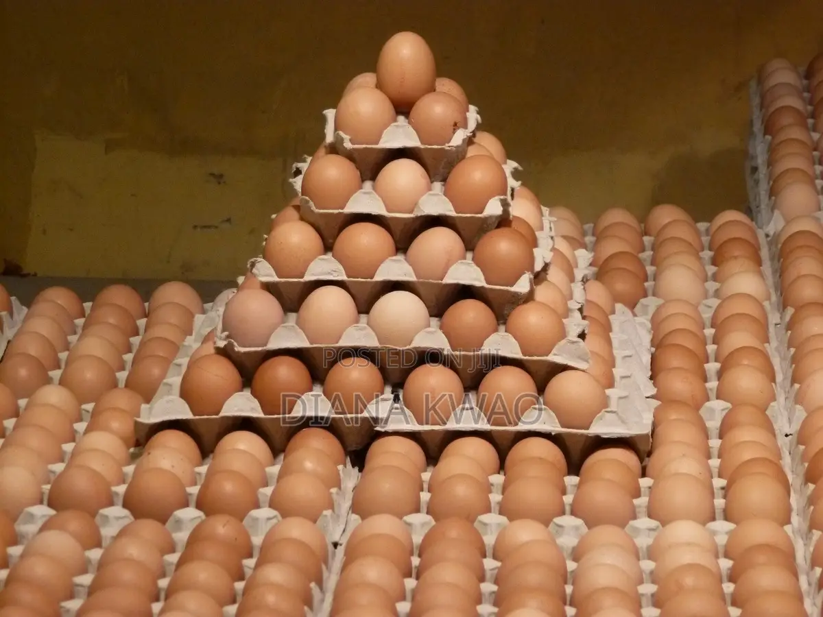 Eggs for Sale in Accra