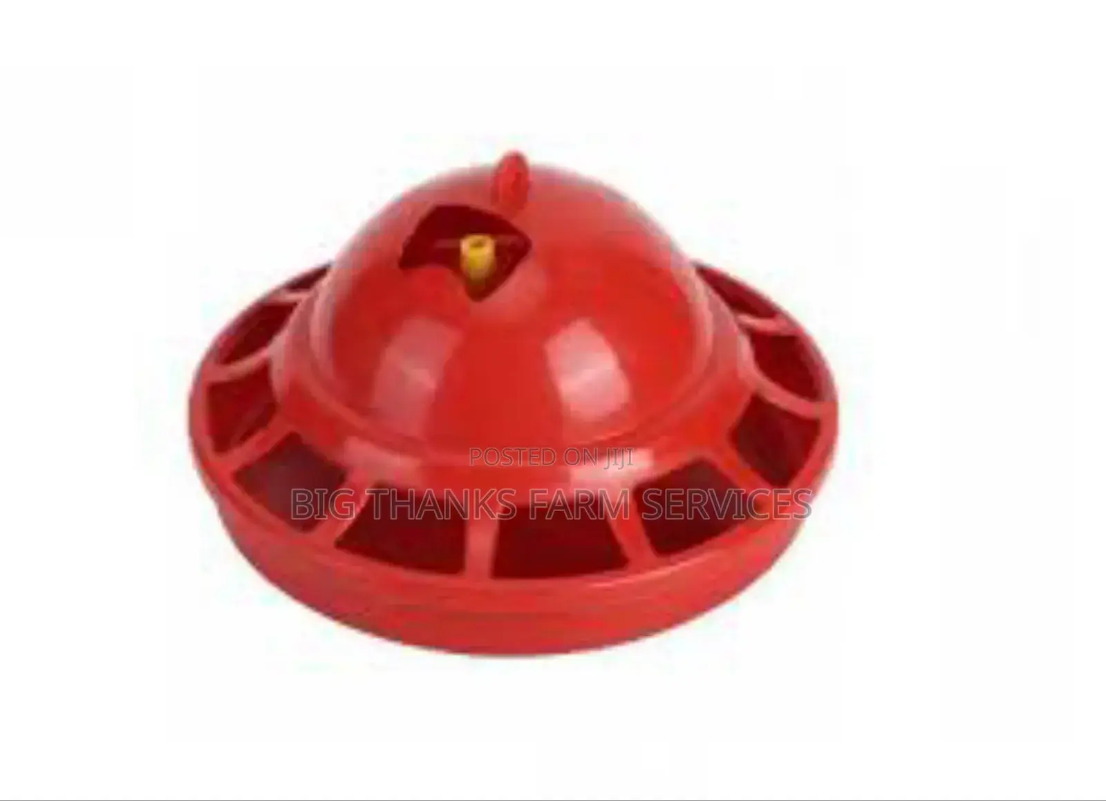 Small Bell Drinkers