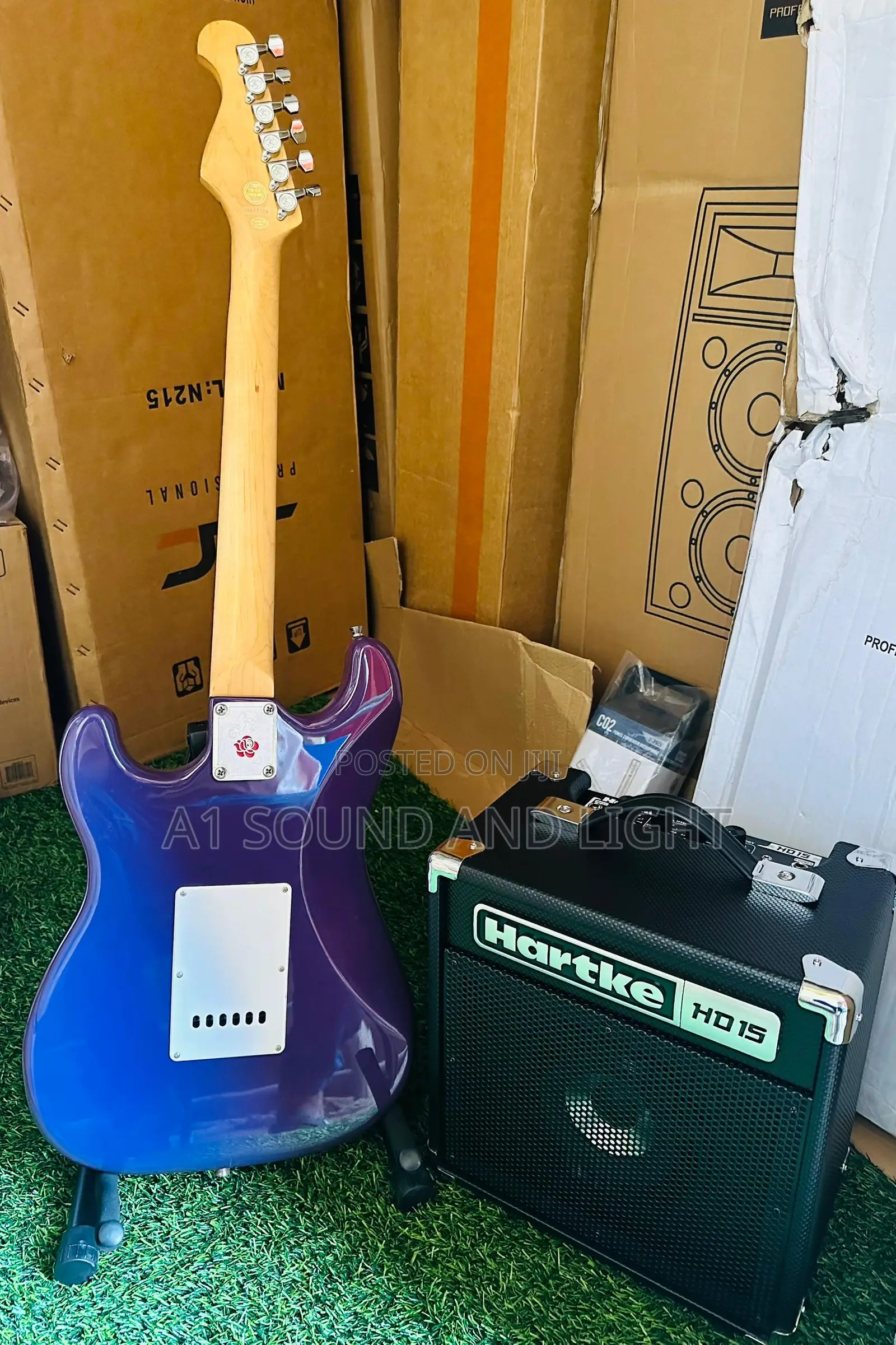 Gypsy Rose Electric Guitar And Hartke Practice Combo