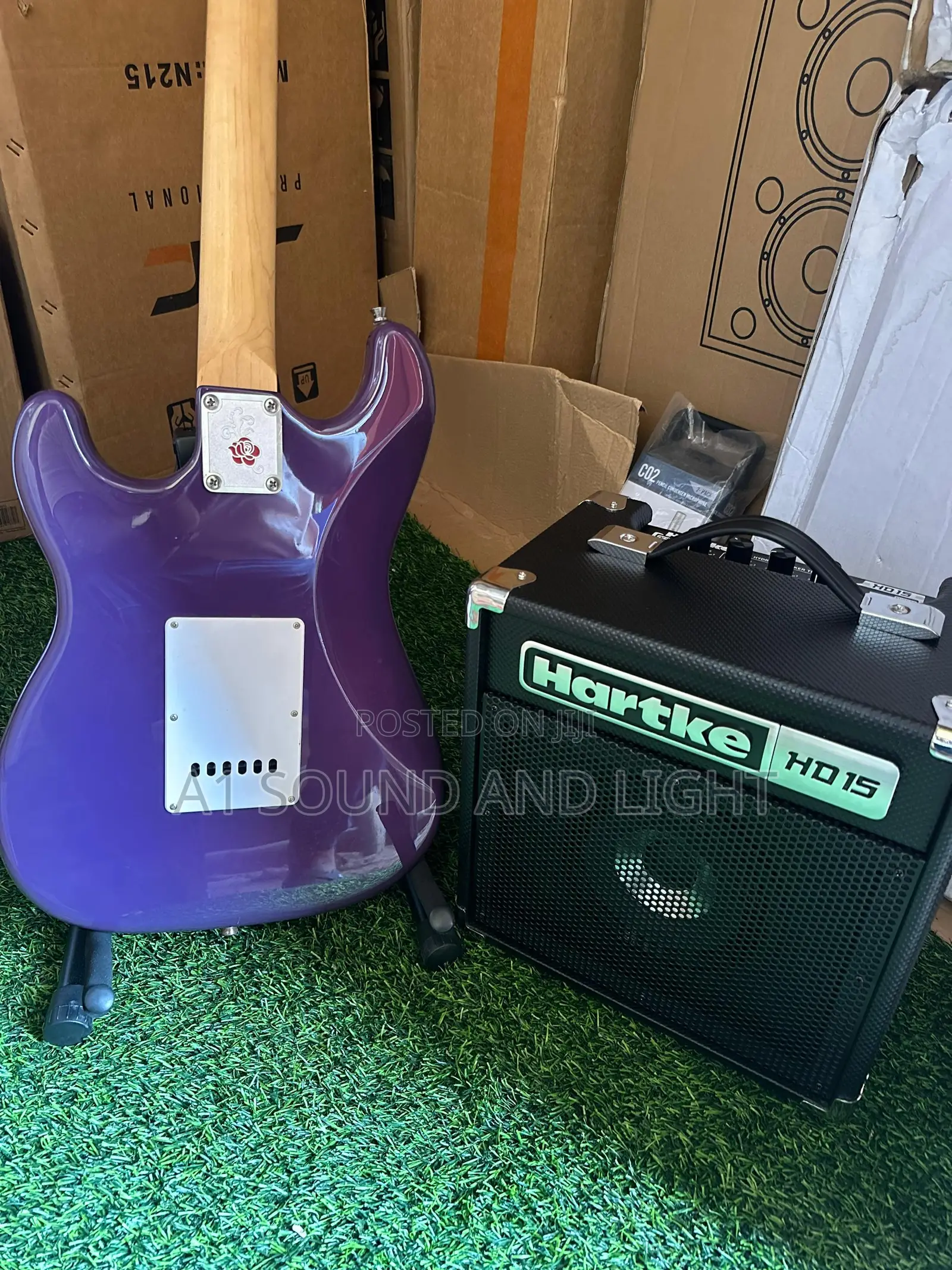 Gypsy Rose Electric Guitar And Hartke Practice Combo