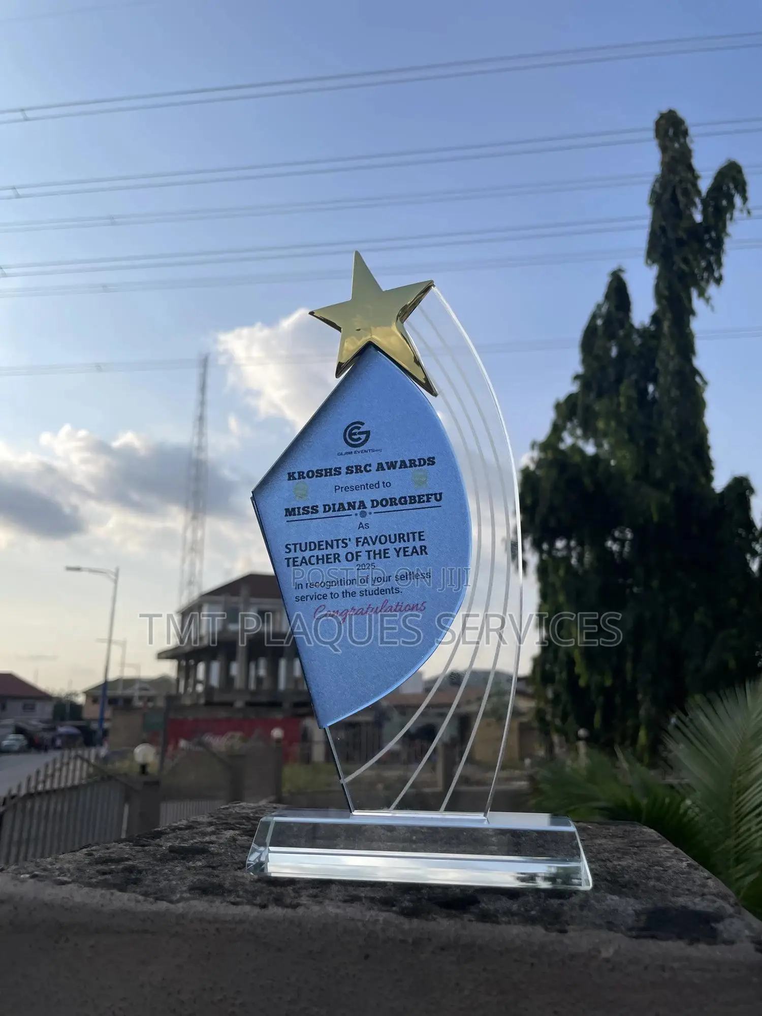 Award Plaque for Your Program