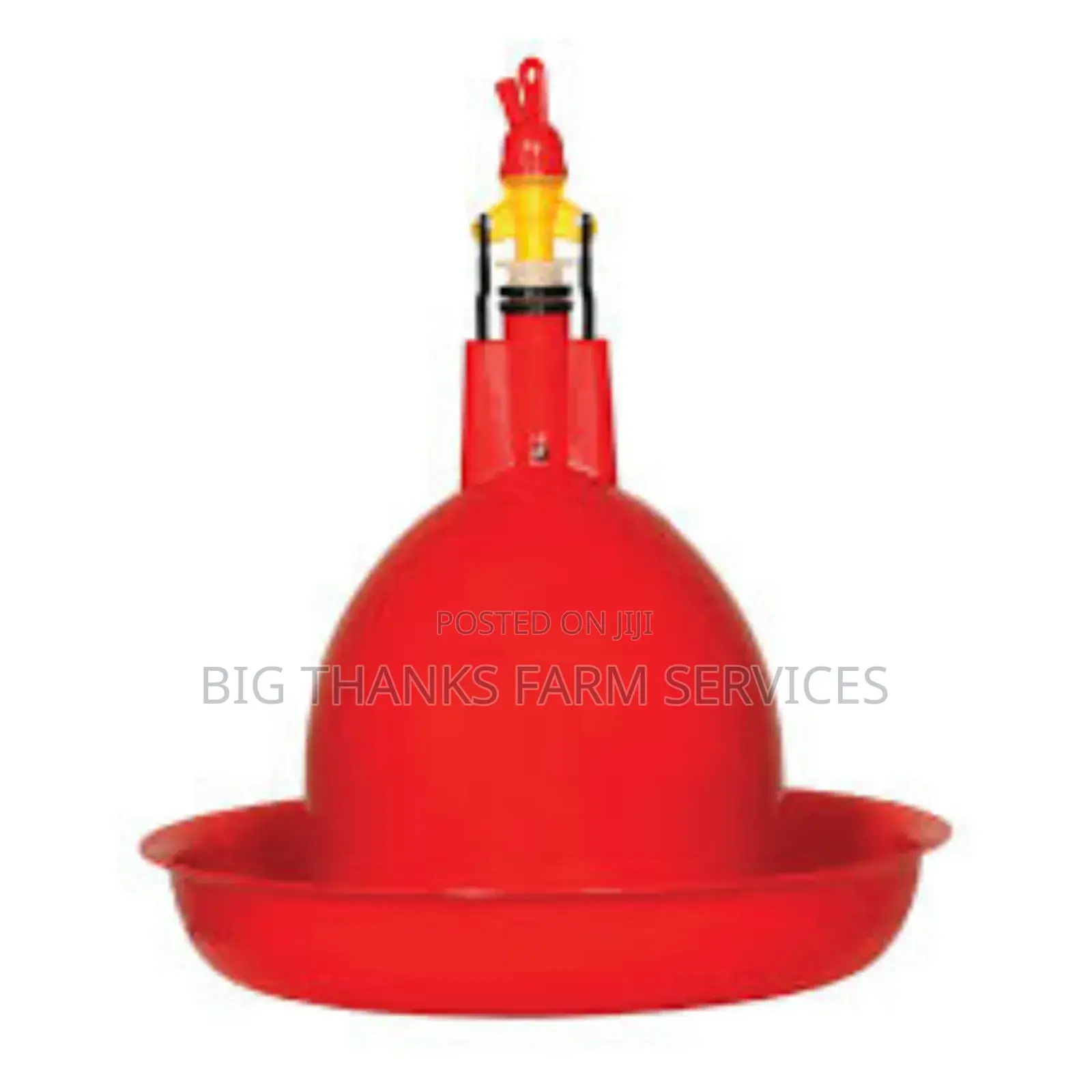Bell Drinkers, Medium Size