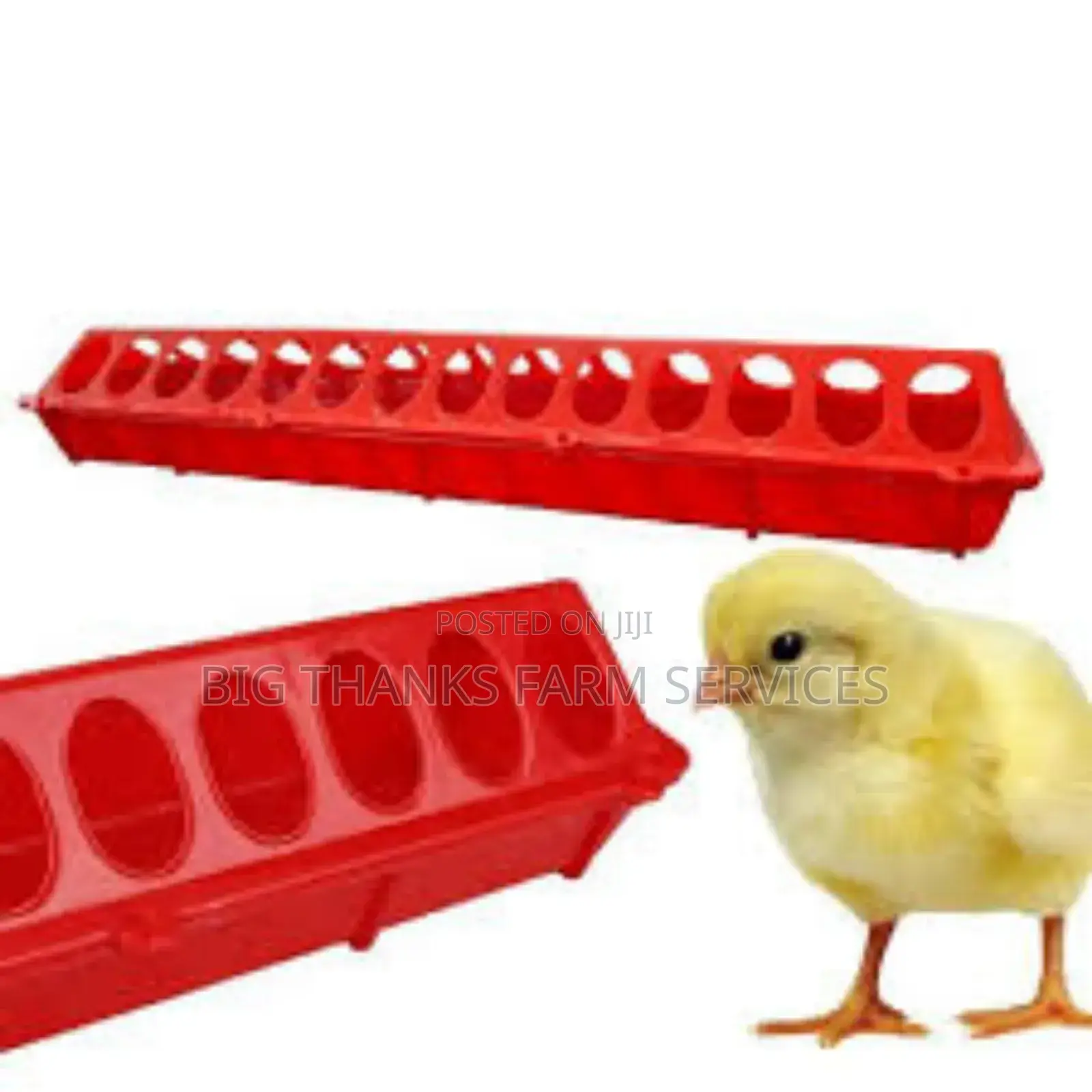 Chick Feeders,Flat 28 Holes