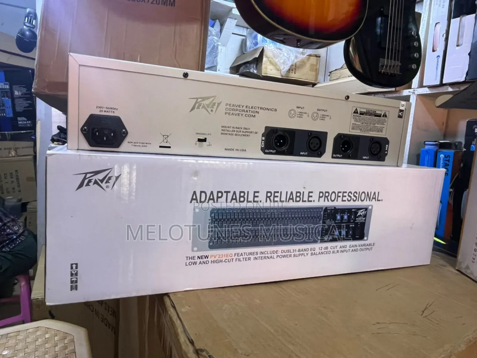 Peavey Pv231eq Dual 31-Band Graphic Equalizer
