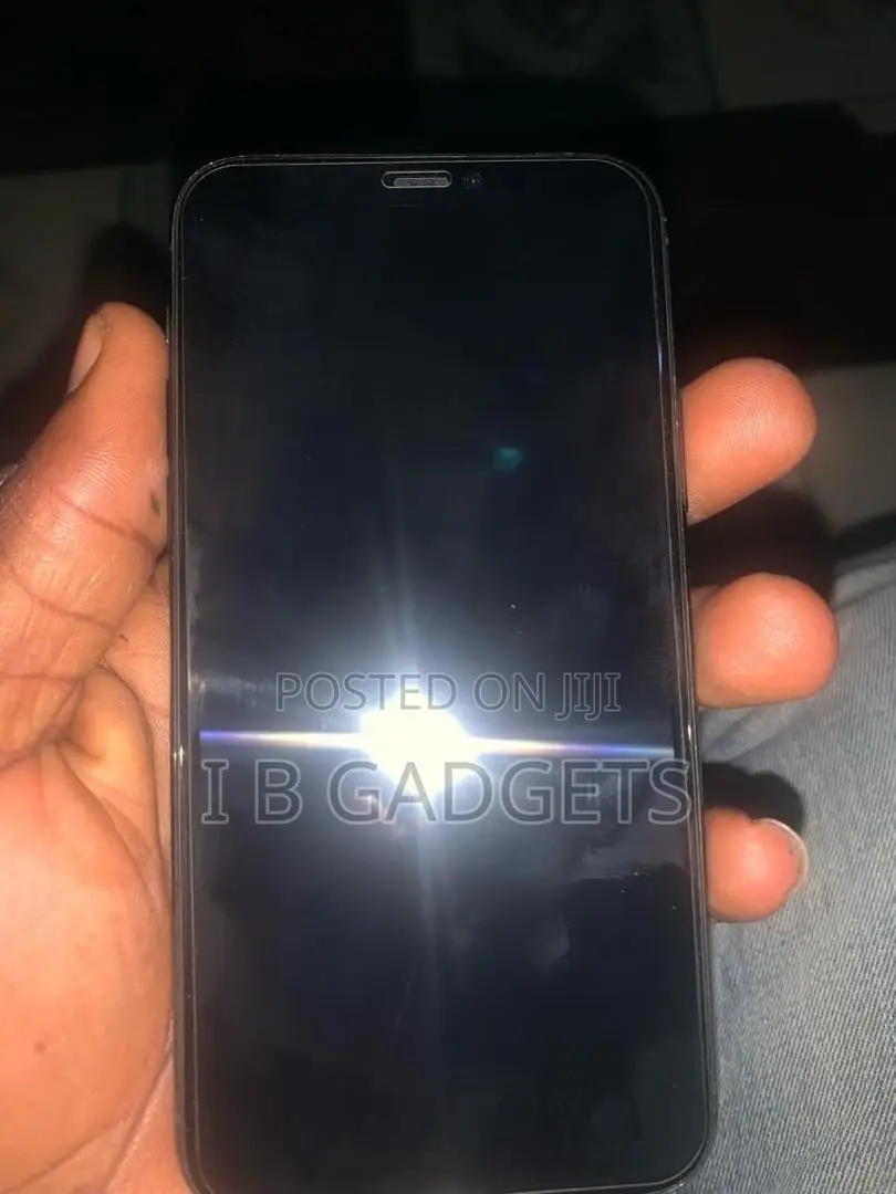 Apple iPhone 11 Pro 256 GB Gray
