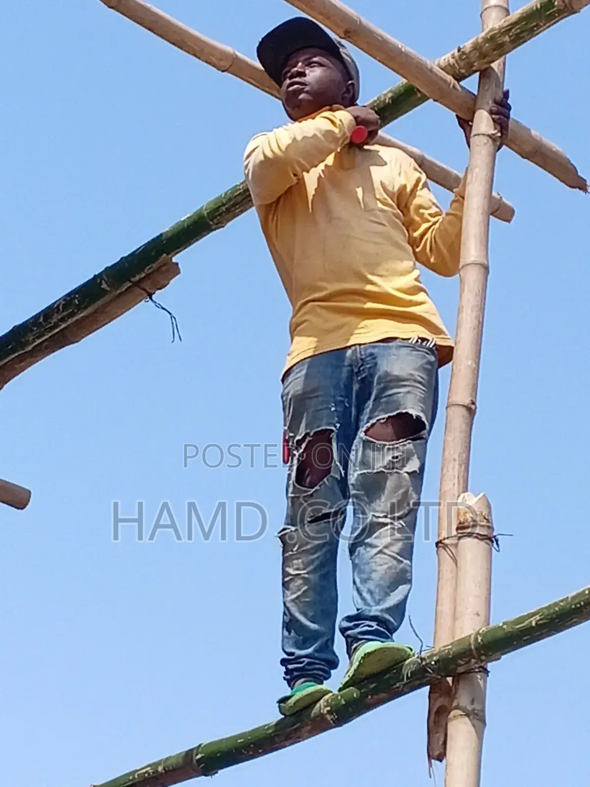 Carpenter in Construction and Furniture