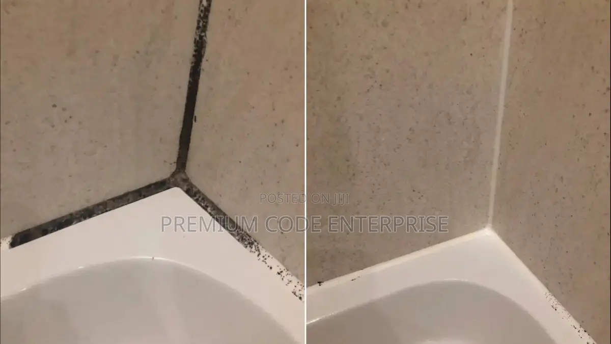 Mold and Mildew Remover