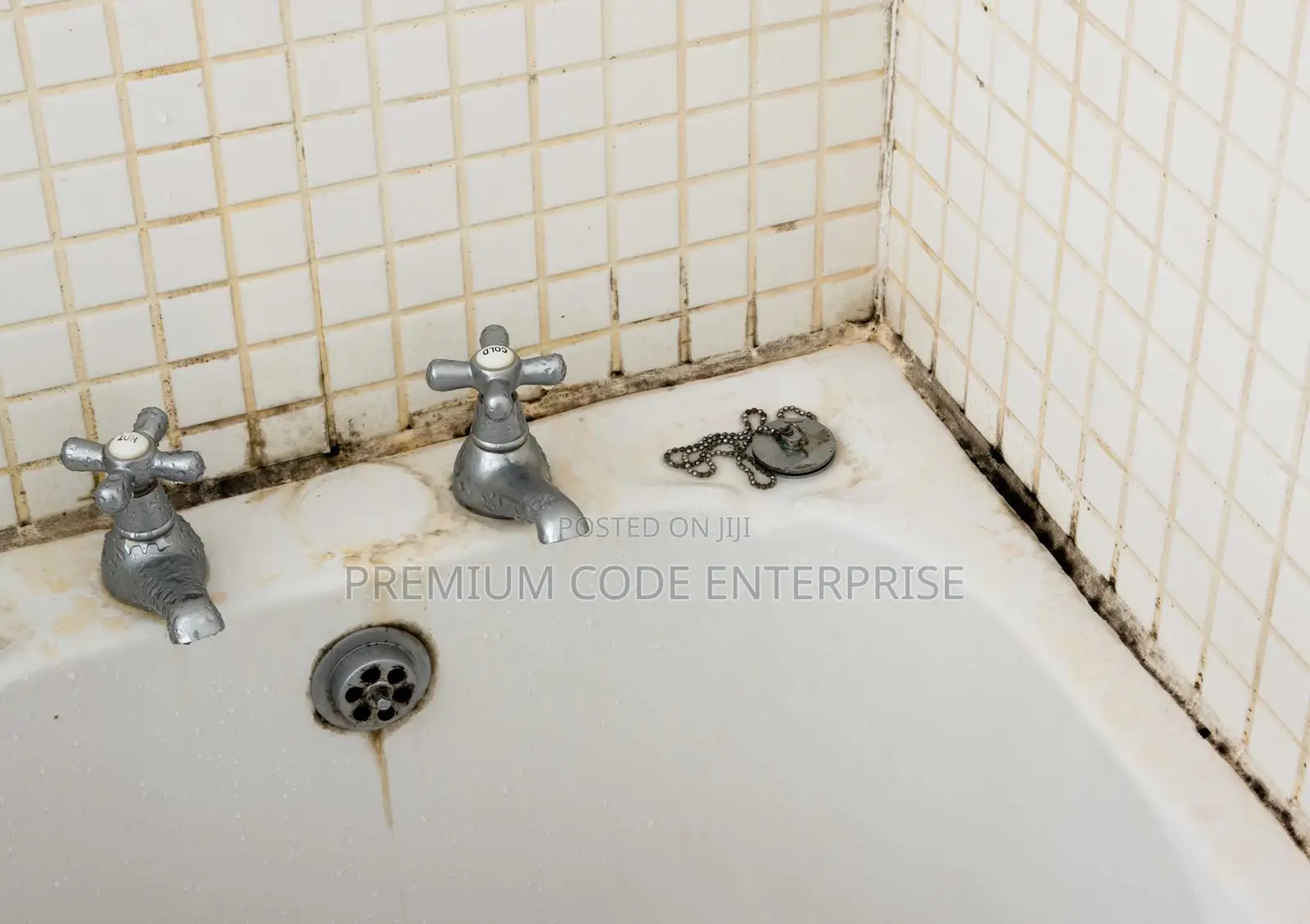 Mold and Mildew Remover