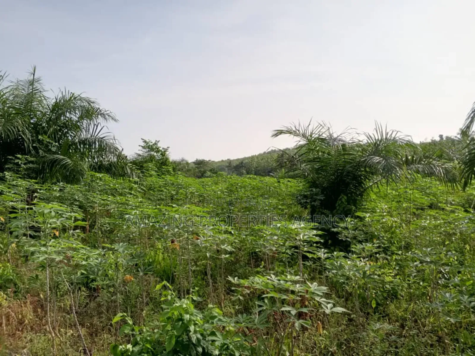 9 Plots of Land at Kweiman -Danfa