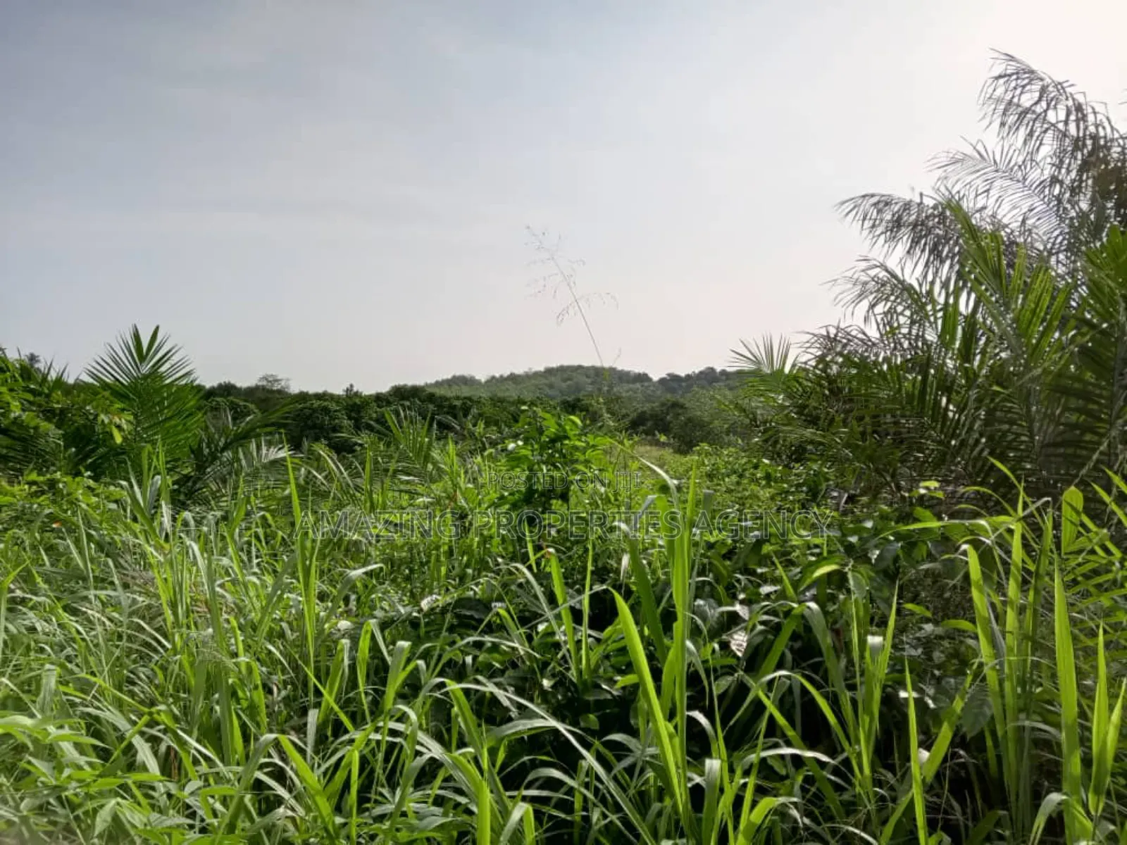 9 Plots of Land at Kweiman -Danfa