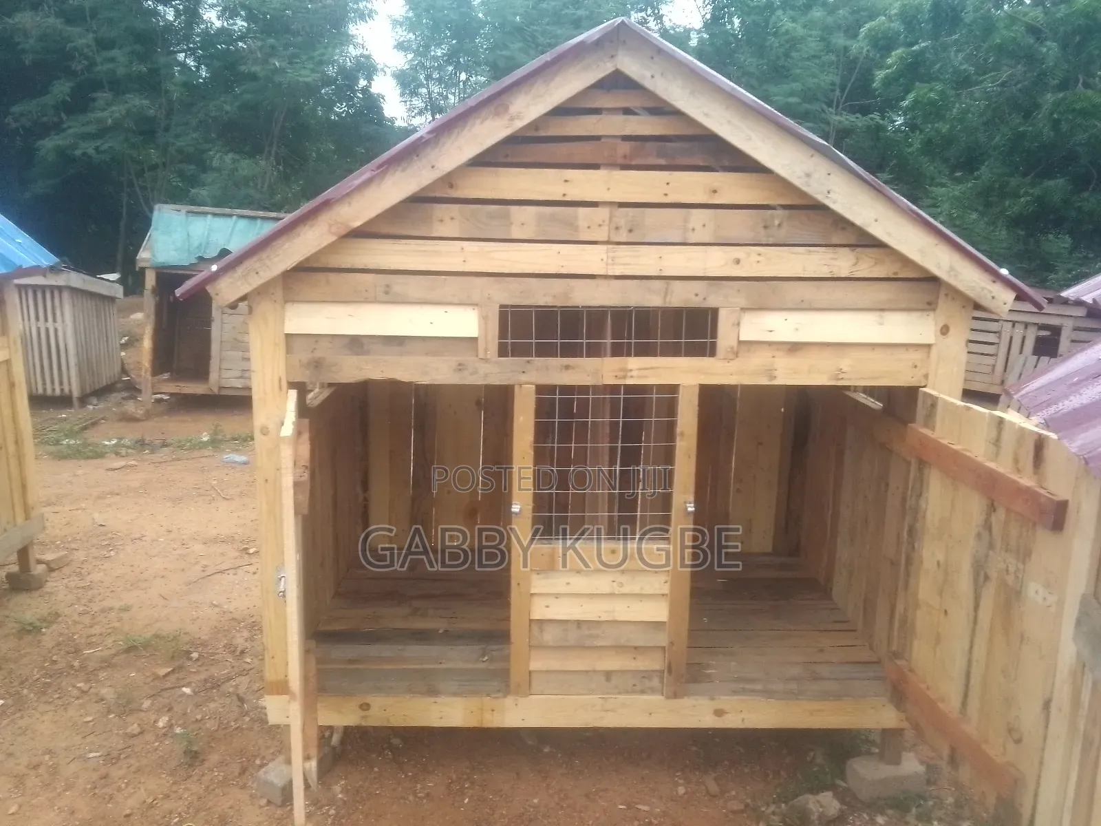Dogs Cages