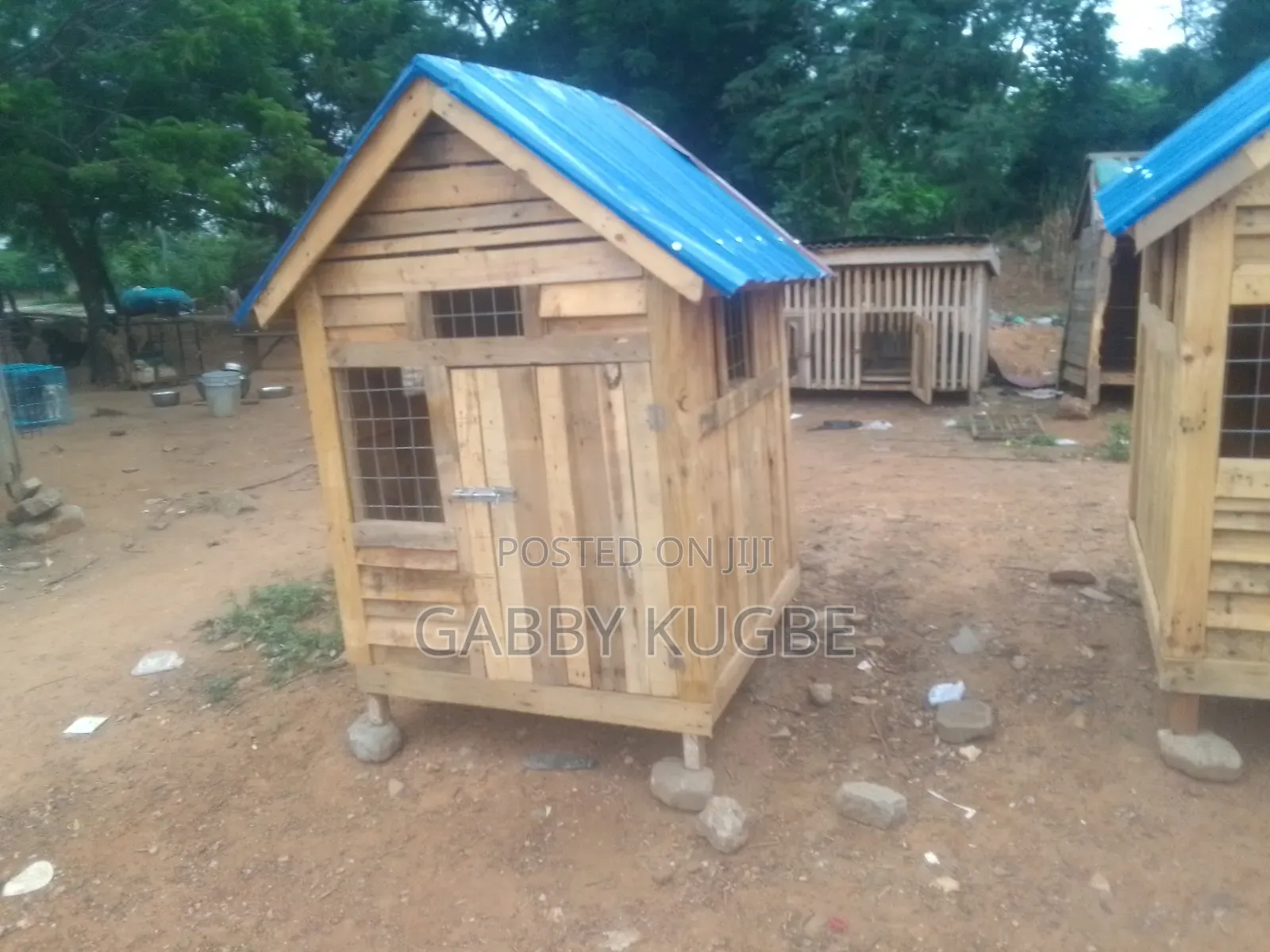 Dogs Cages