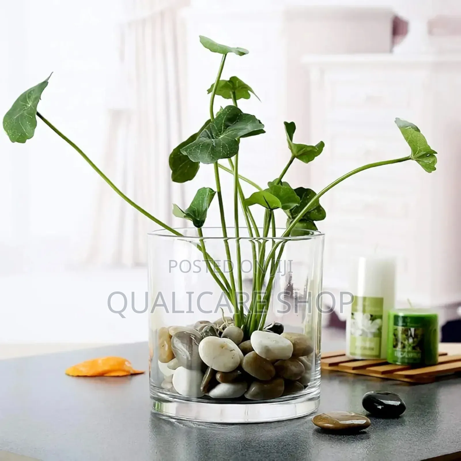 Set Of 12 Cylindrical Glass Vases 400ml