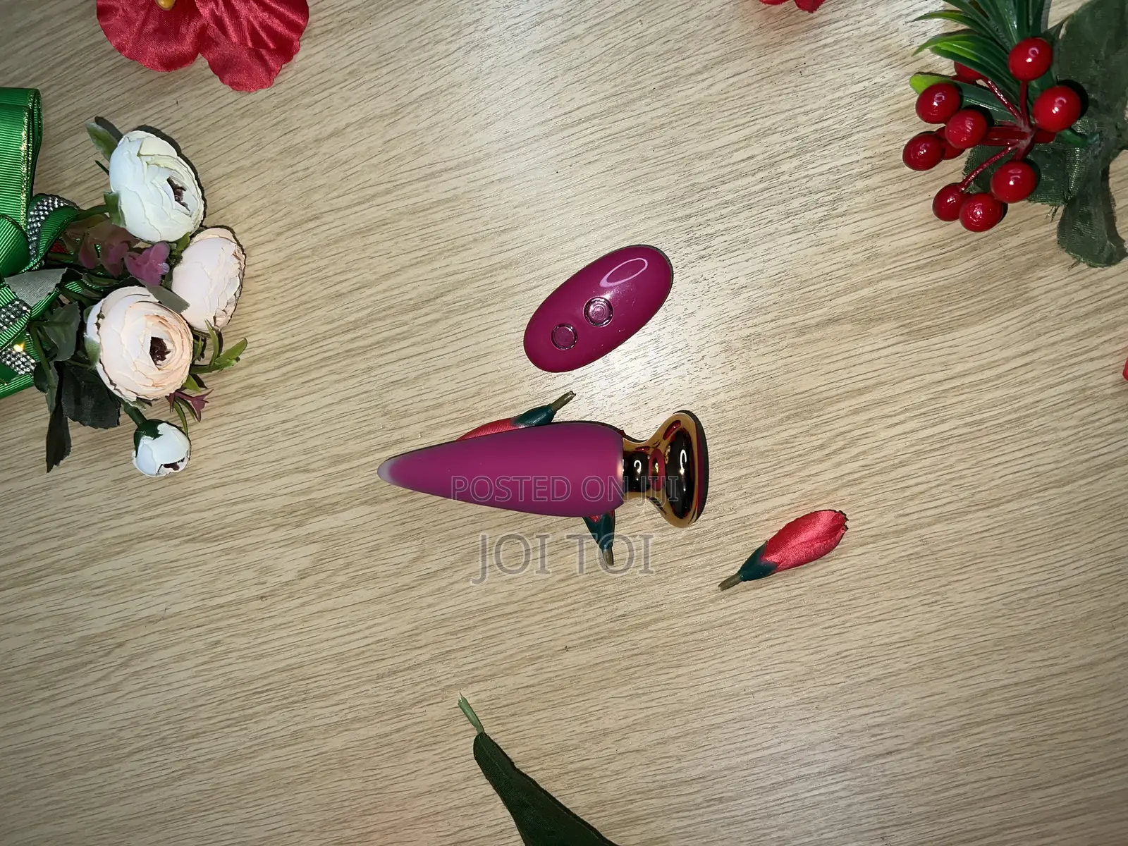 Rechargeable Anal / Butt Plug