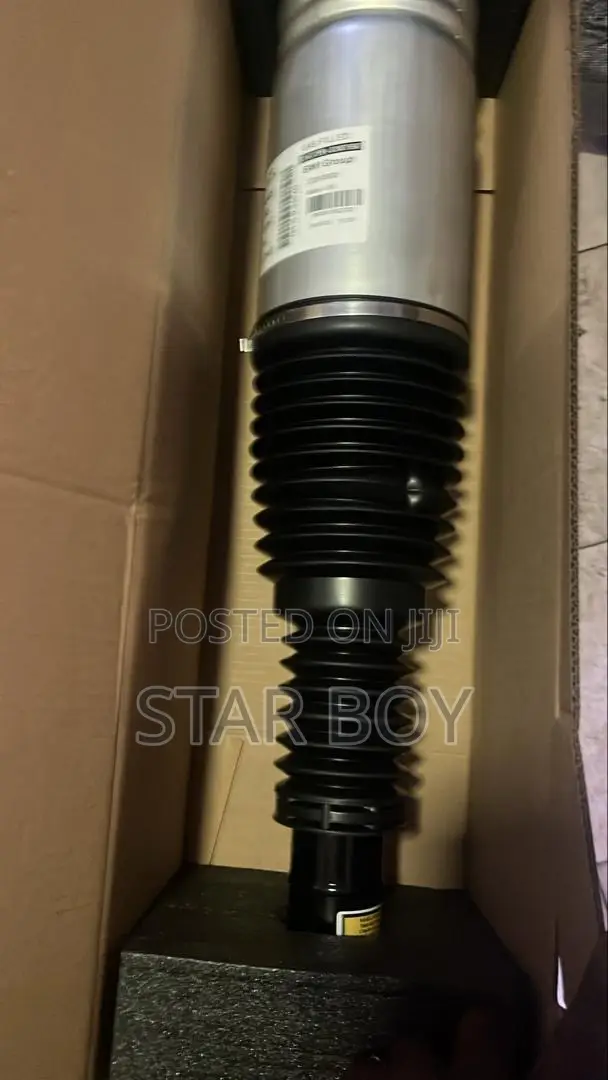 Range Rover Sports:2016 to 2024 Front Shocks