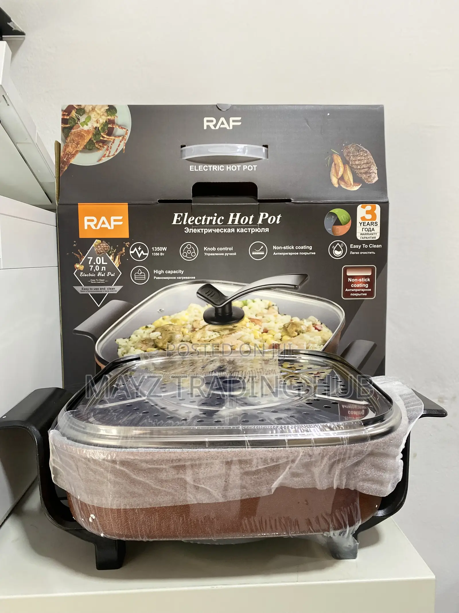 Electric Hot Pot
