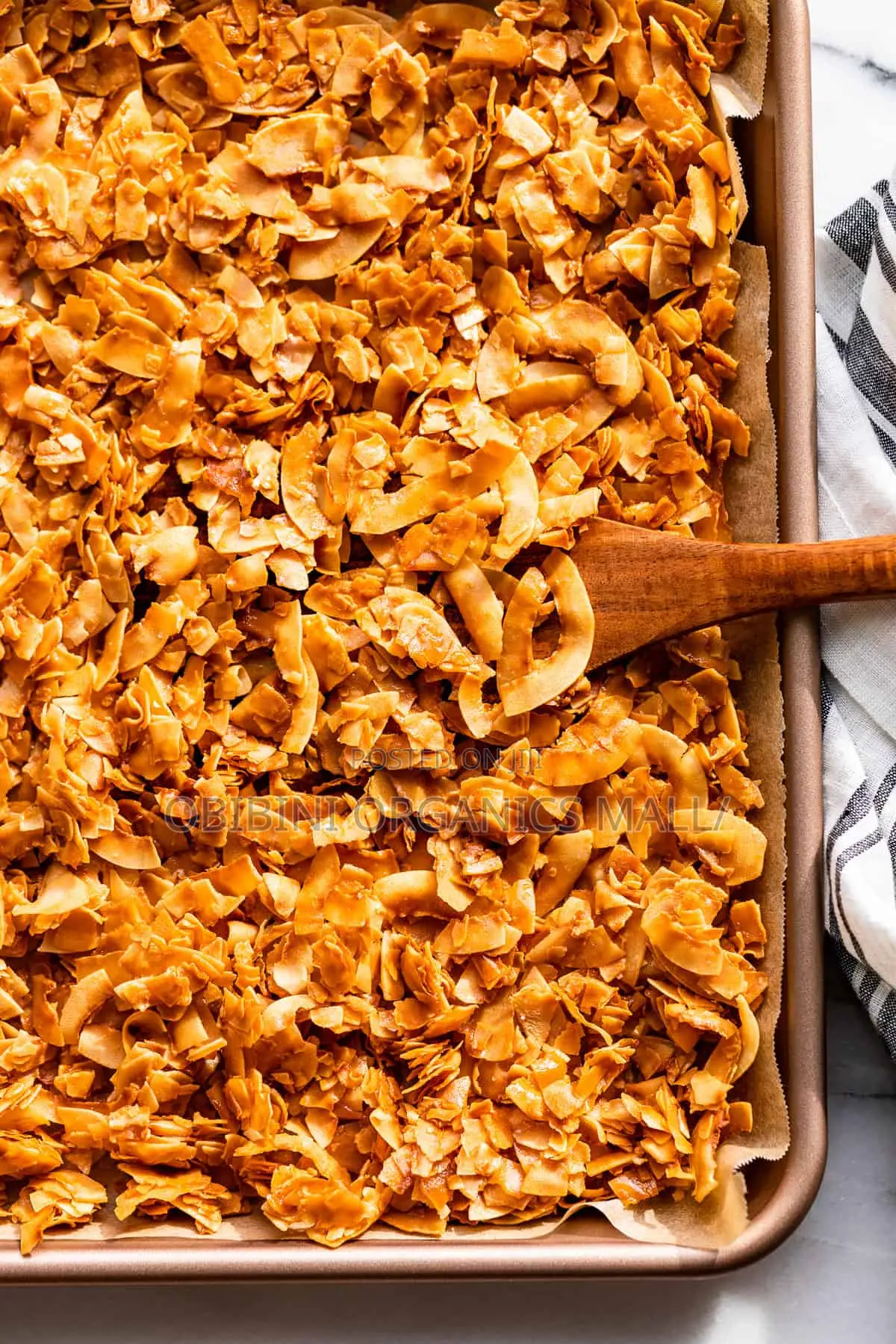 Coconut Flakes/Chips