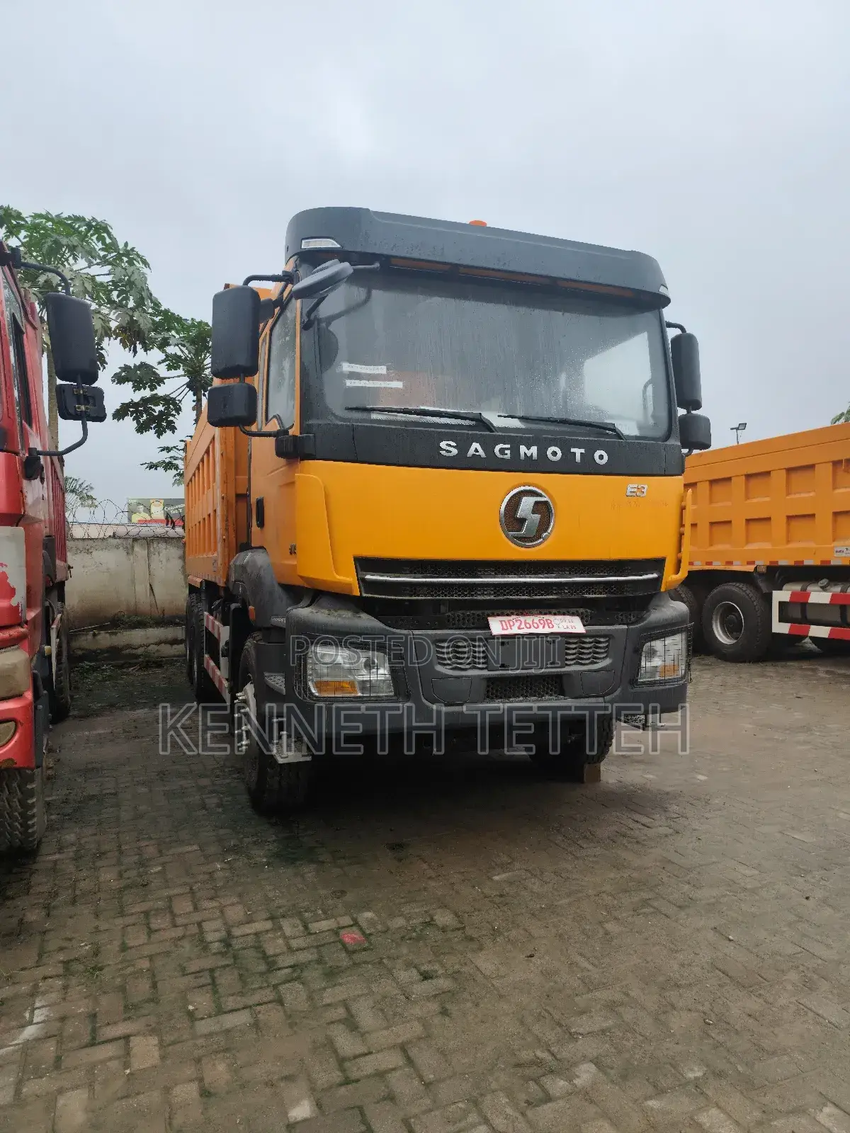 Shackman 20 Cubic)