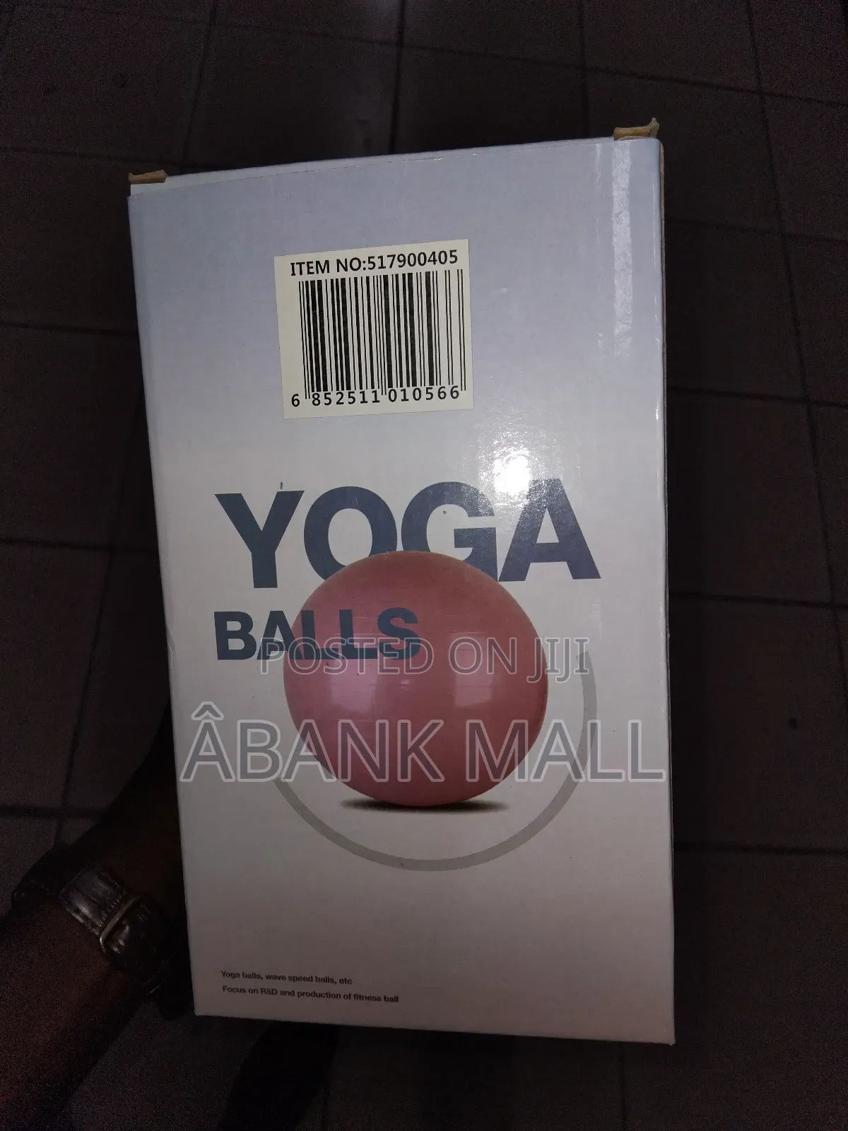 Gym Ball With Pump